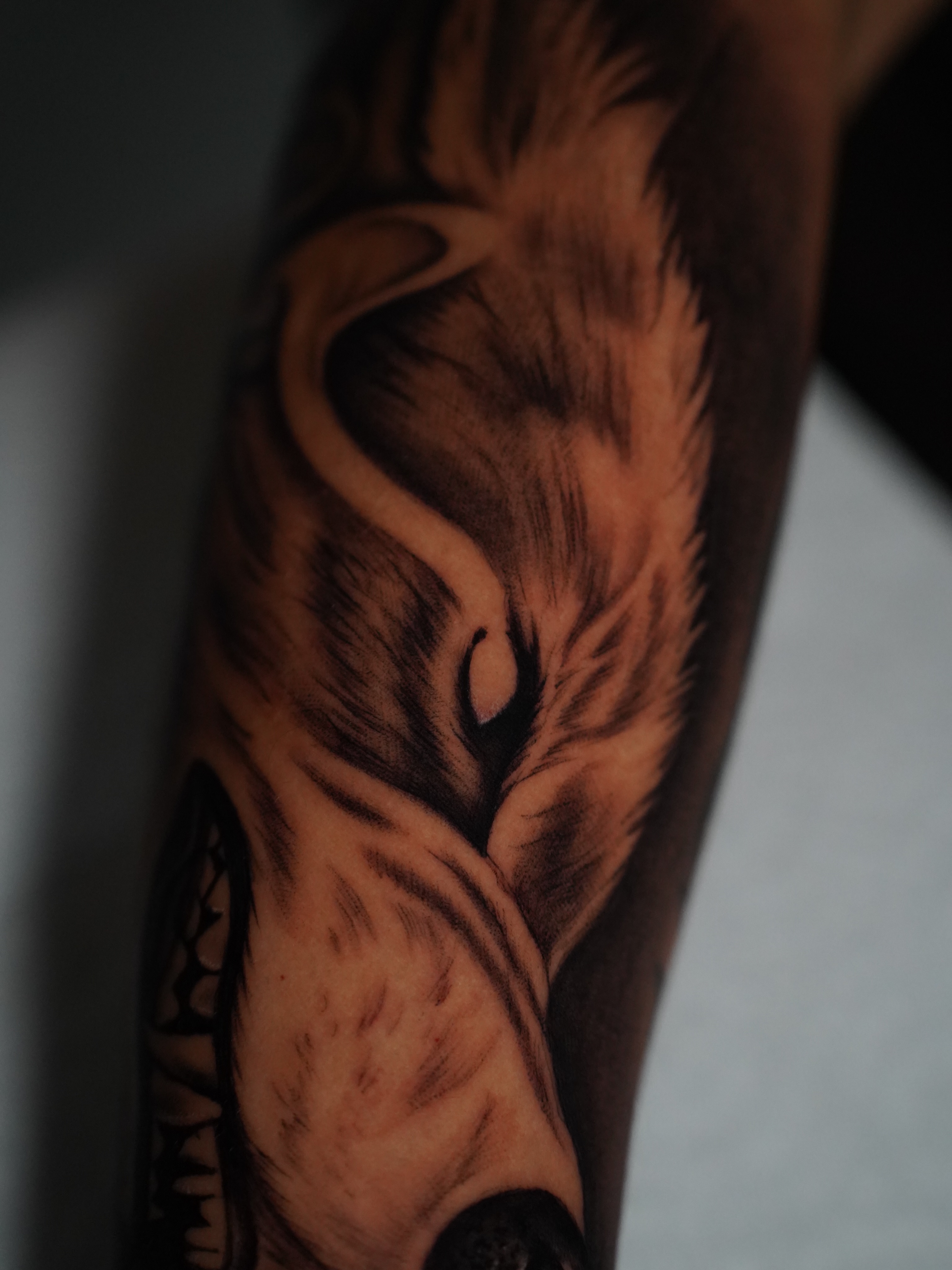 Wolf realism tattoo on the forearm by Dallas Tattoo Artist