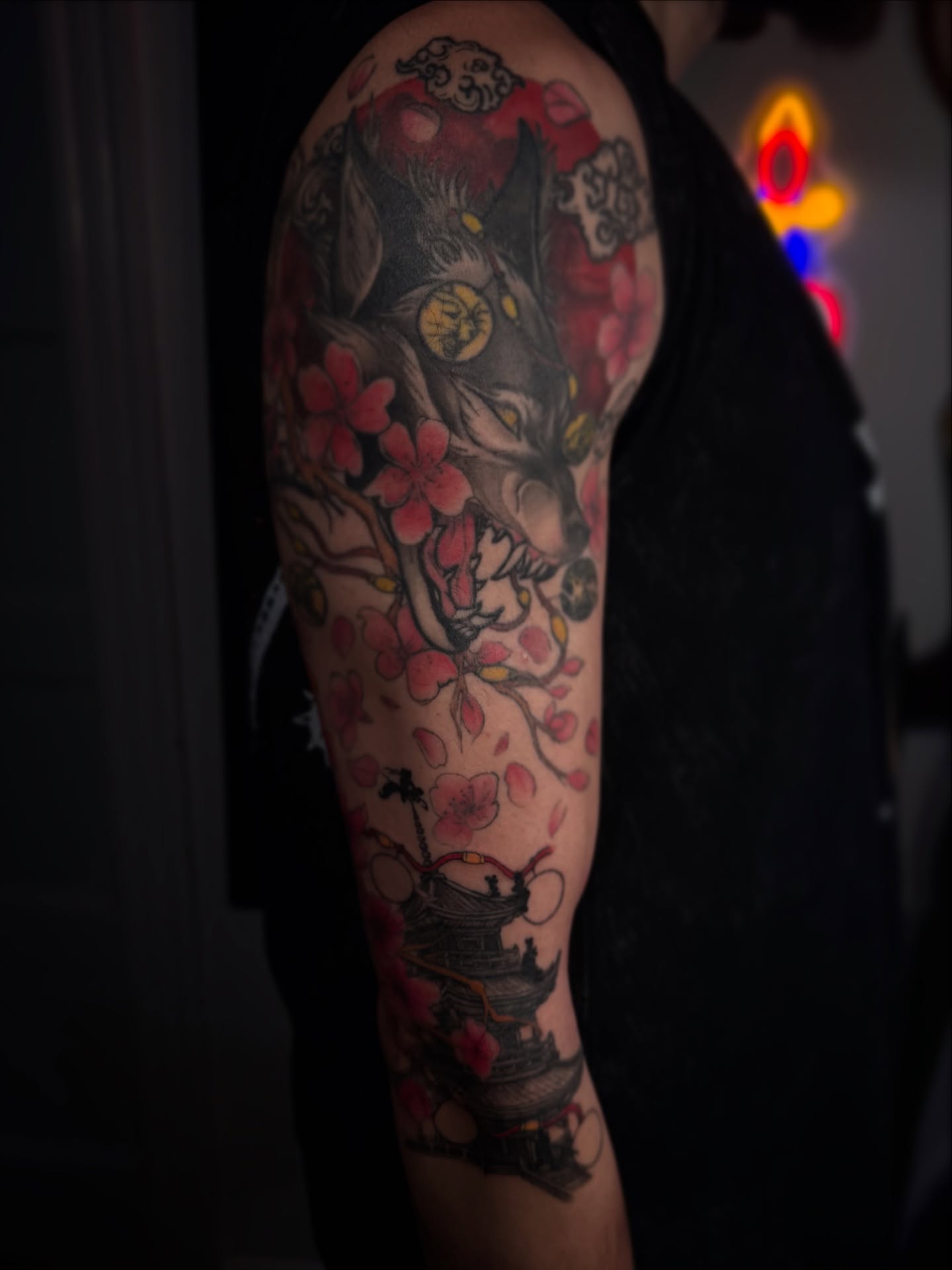 Wolf and cherry blossoms japanese irezumi tattoo on the forearm by Gianna G