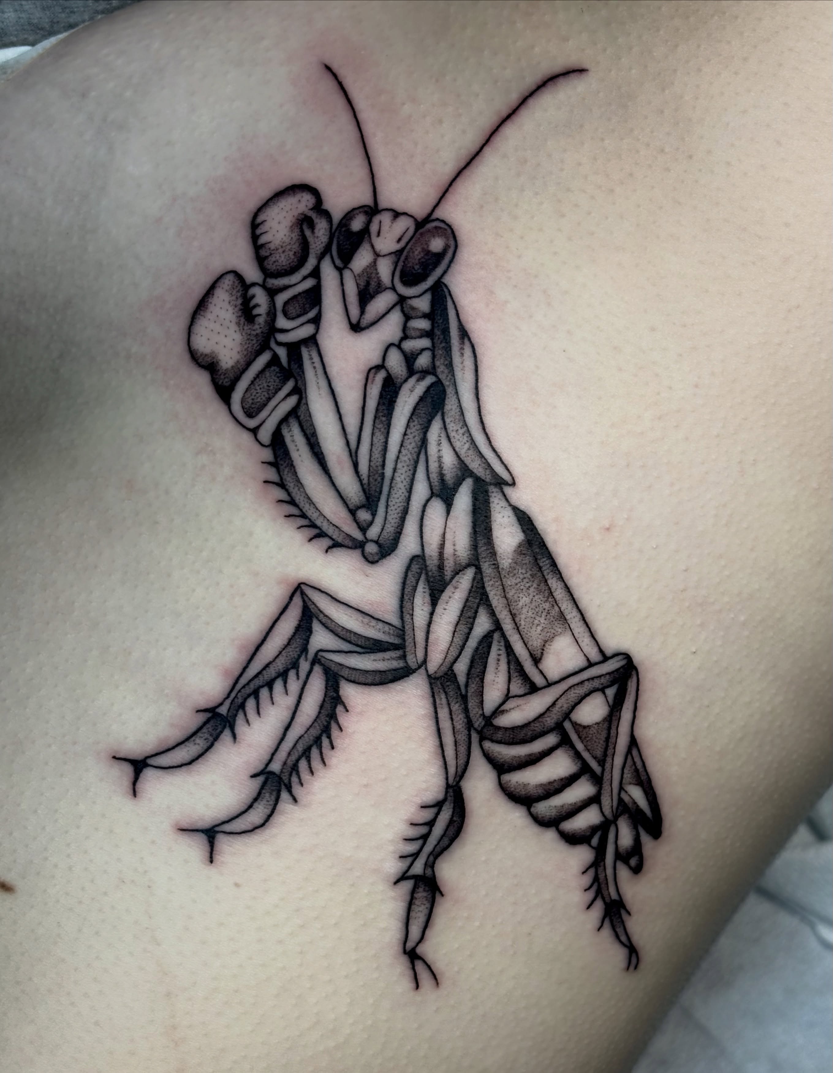 Praying mantis black and grey tattoo on the thigh by ✨madison✨, Portland, Oregon
