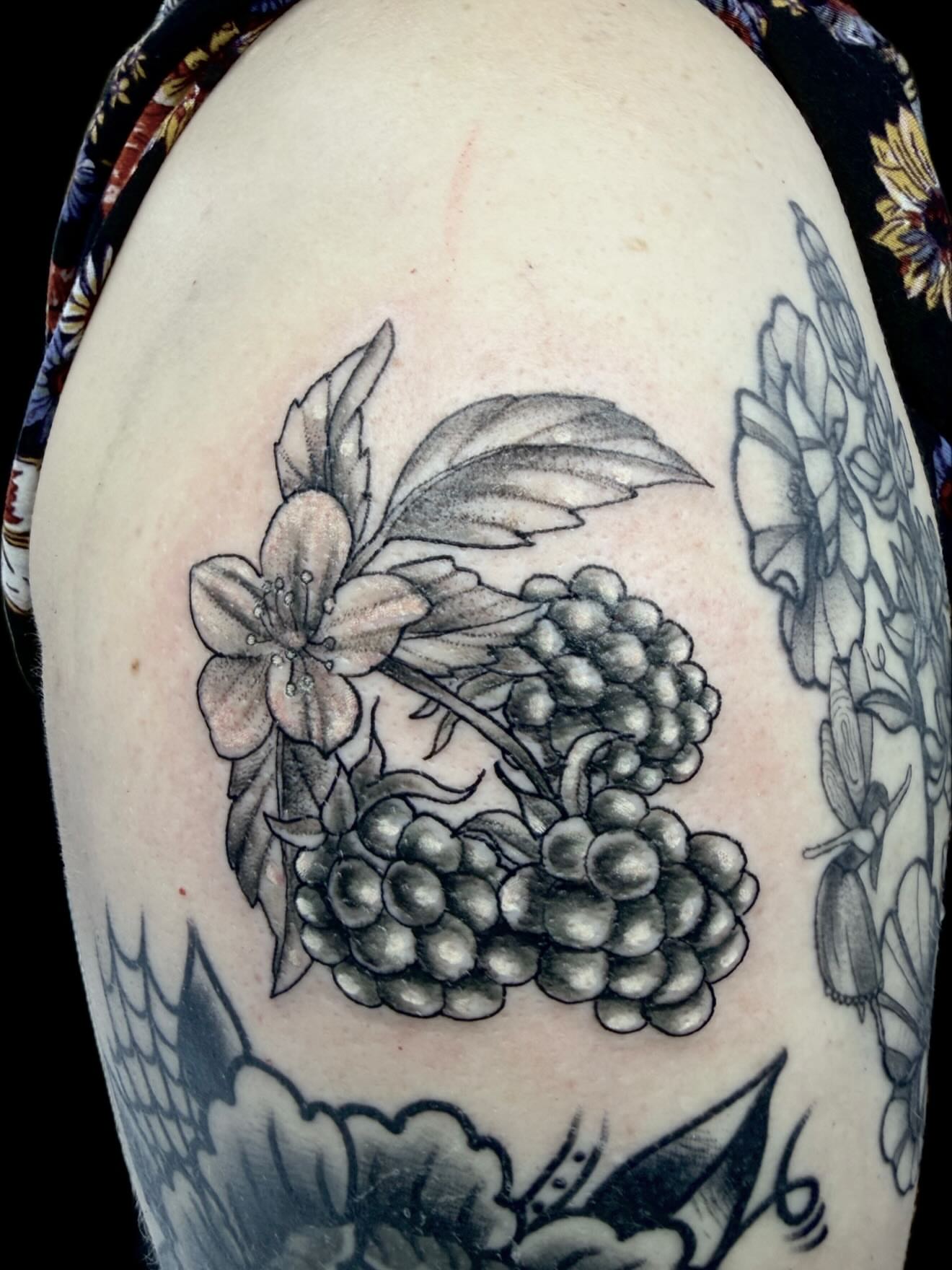 Blackberry bush black and grey tattoo on the shoulder by ⋆༺⋆˖⁺‧₊  ☽  ⛦⃝  ☾  ₊‧⁺˖⋆༻⋆𝔄𝔩𝔬𝔫𝔡𝔯𝔞  🌾