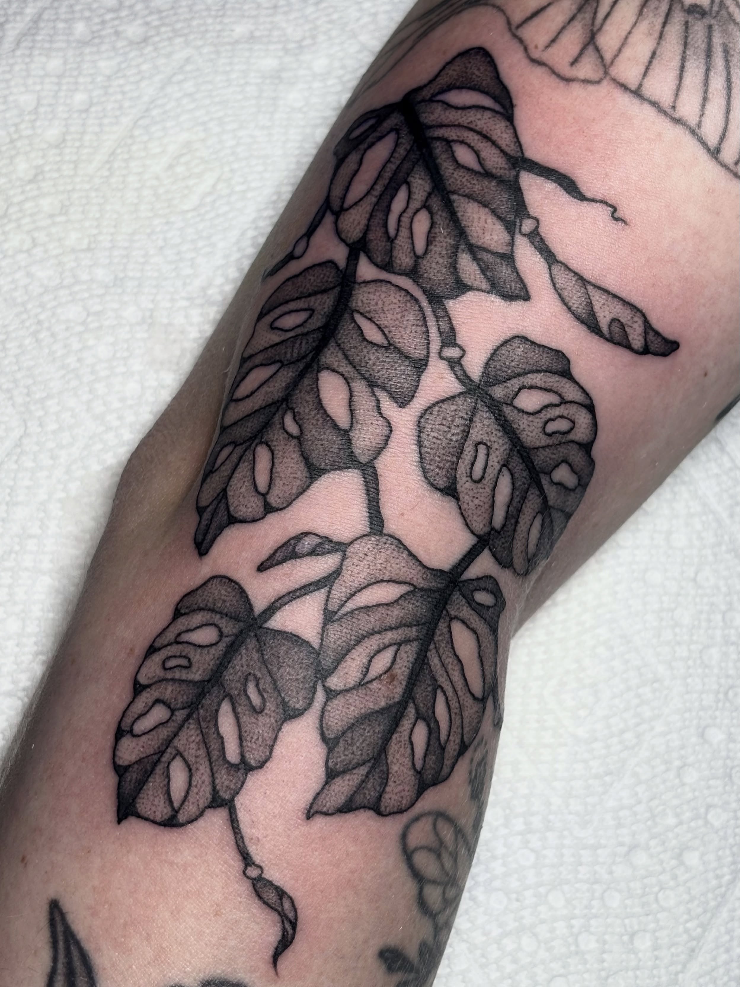 Monstera leaves dotwork tattoo on the forearm by ✨madison✨, Portland, Oregon