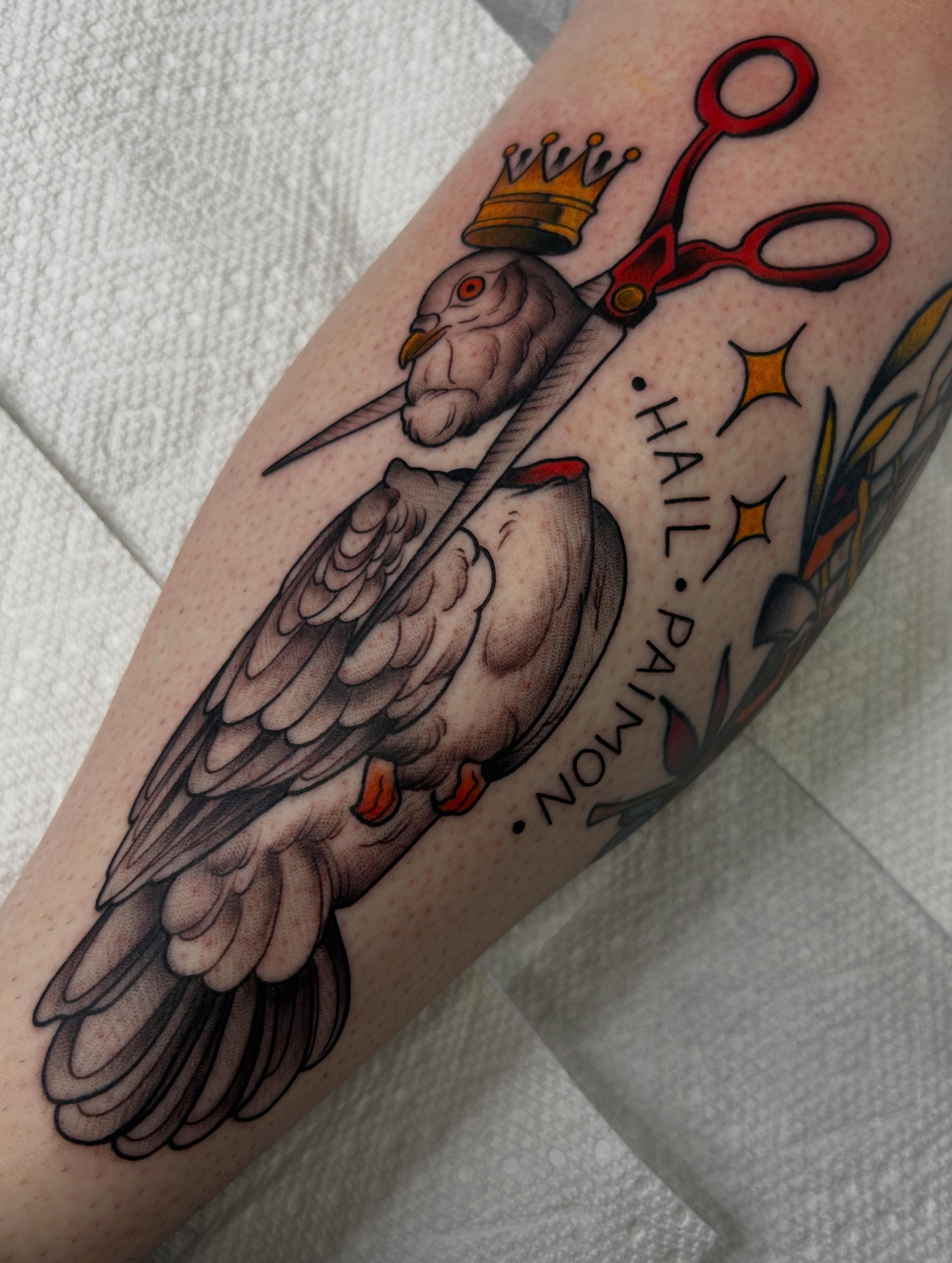 Hawk and scissors American traditional tattoo on the forearm by Kayla Fay, Baton Rouge, Louisiana