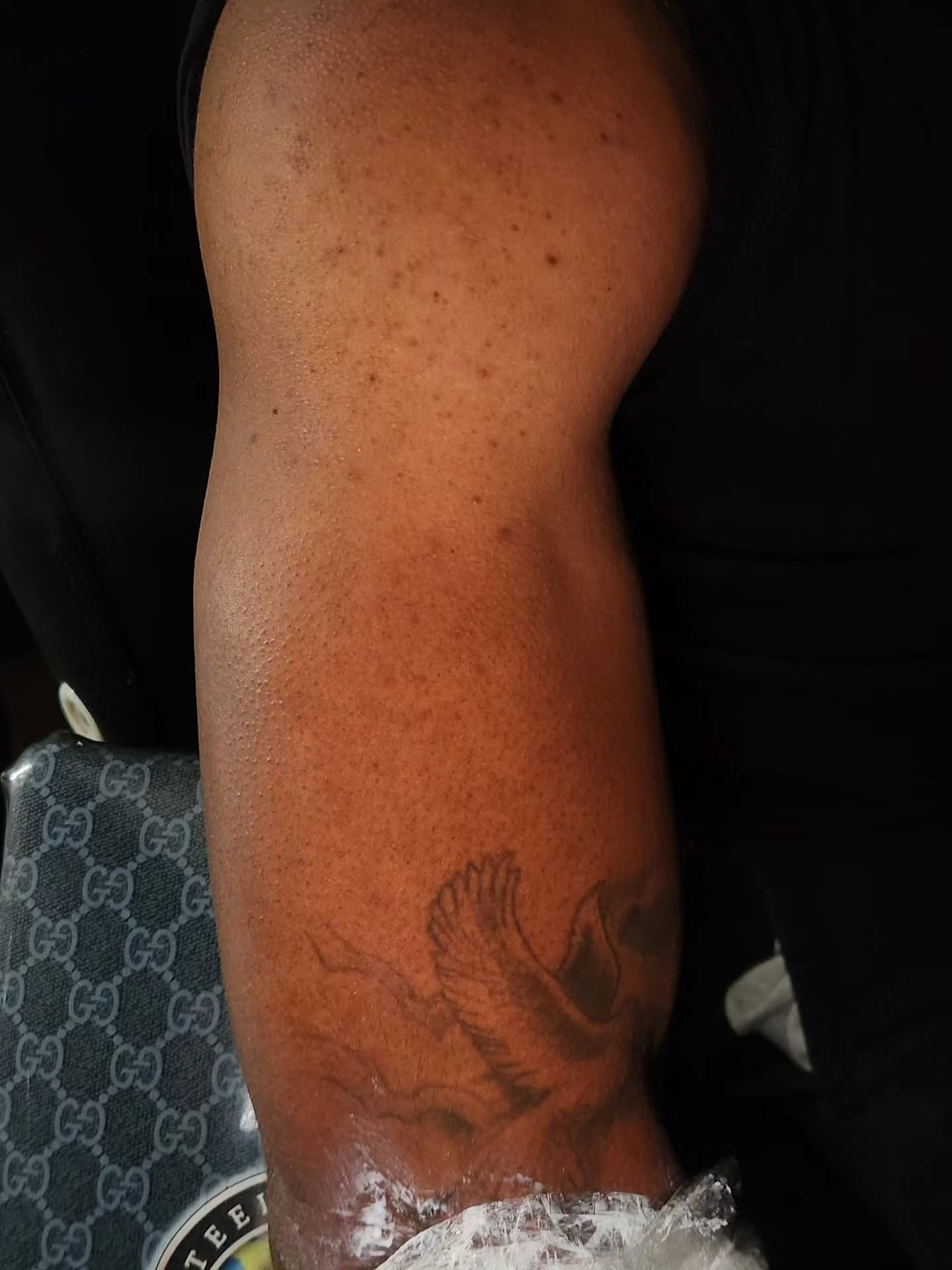 Bird American traditional tattoo on the forearm by 🗣 No Minors🔞‼️‼️‼️