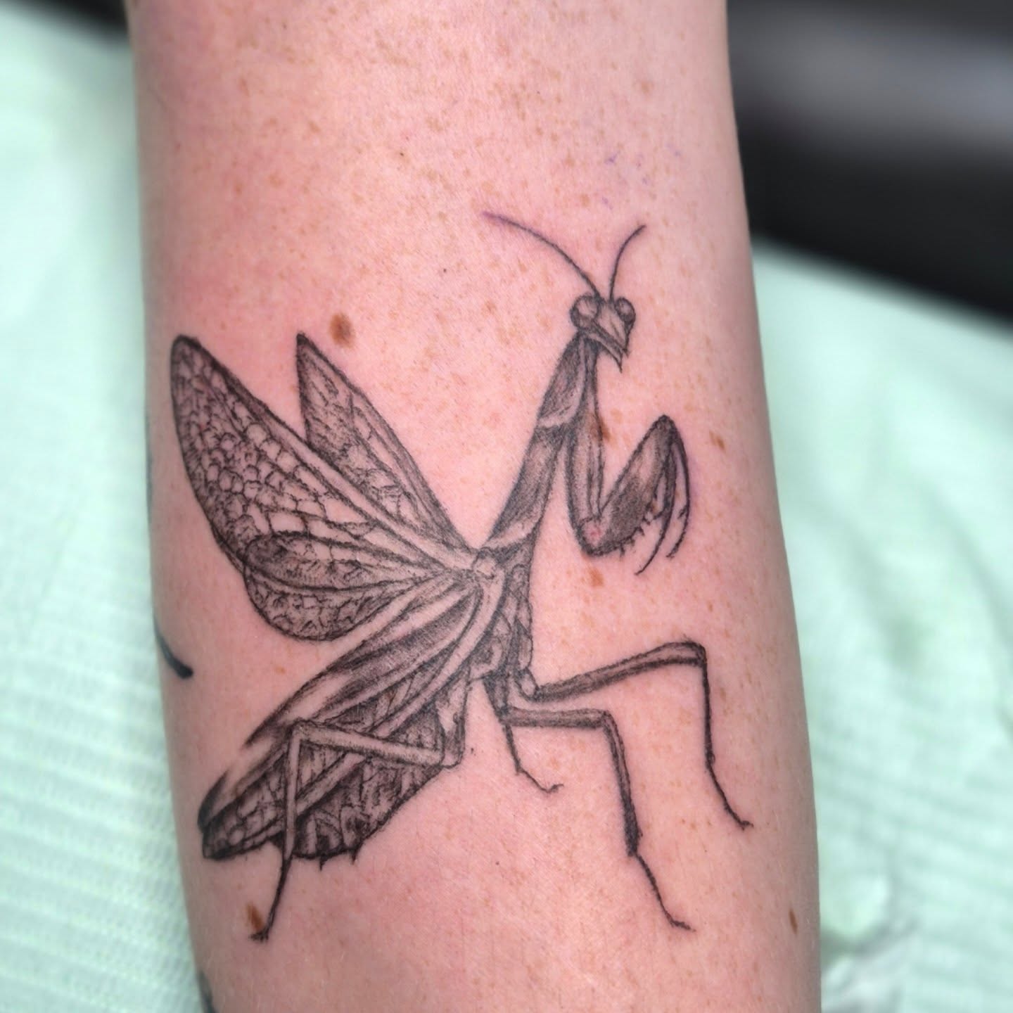 Tattoo by @therealchrisbell — black_and_grey, realism