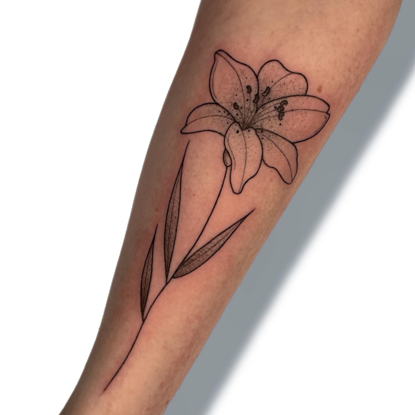 Lily dotwork tattoo on the forearm by Jules ๐โโฌ, Chicago, Illinois