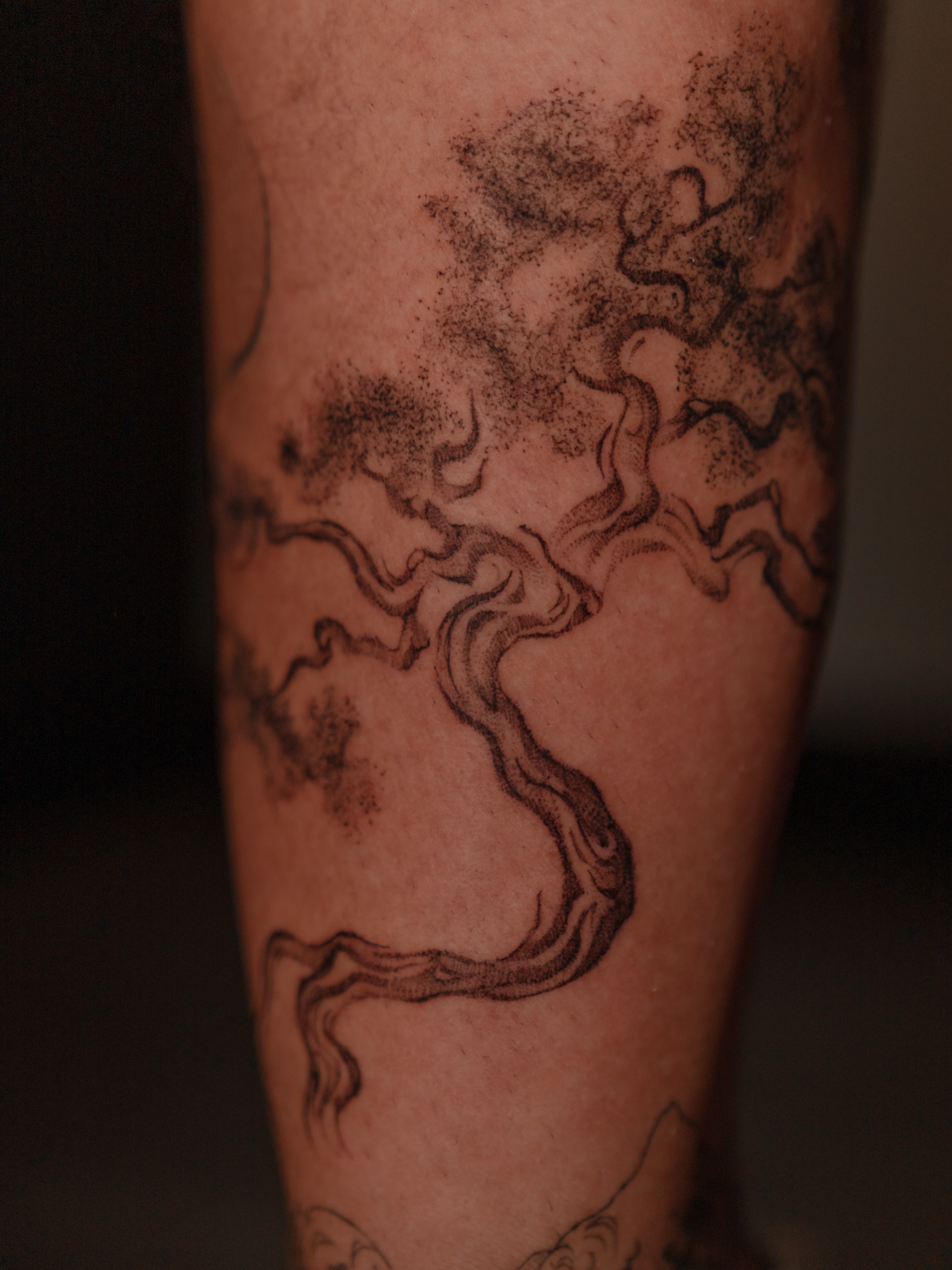Abstract smoke dotwork tattoo on the forearm by Jen- San Antonio tattoo artist
