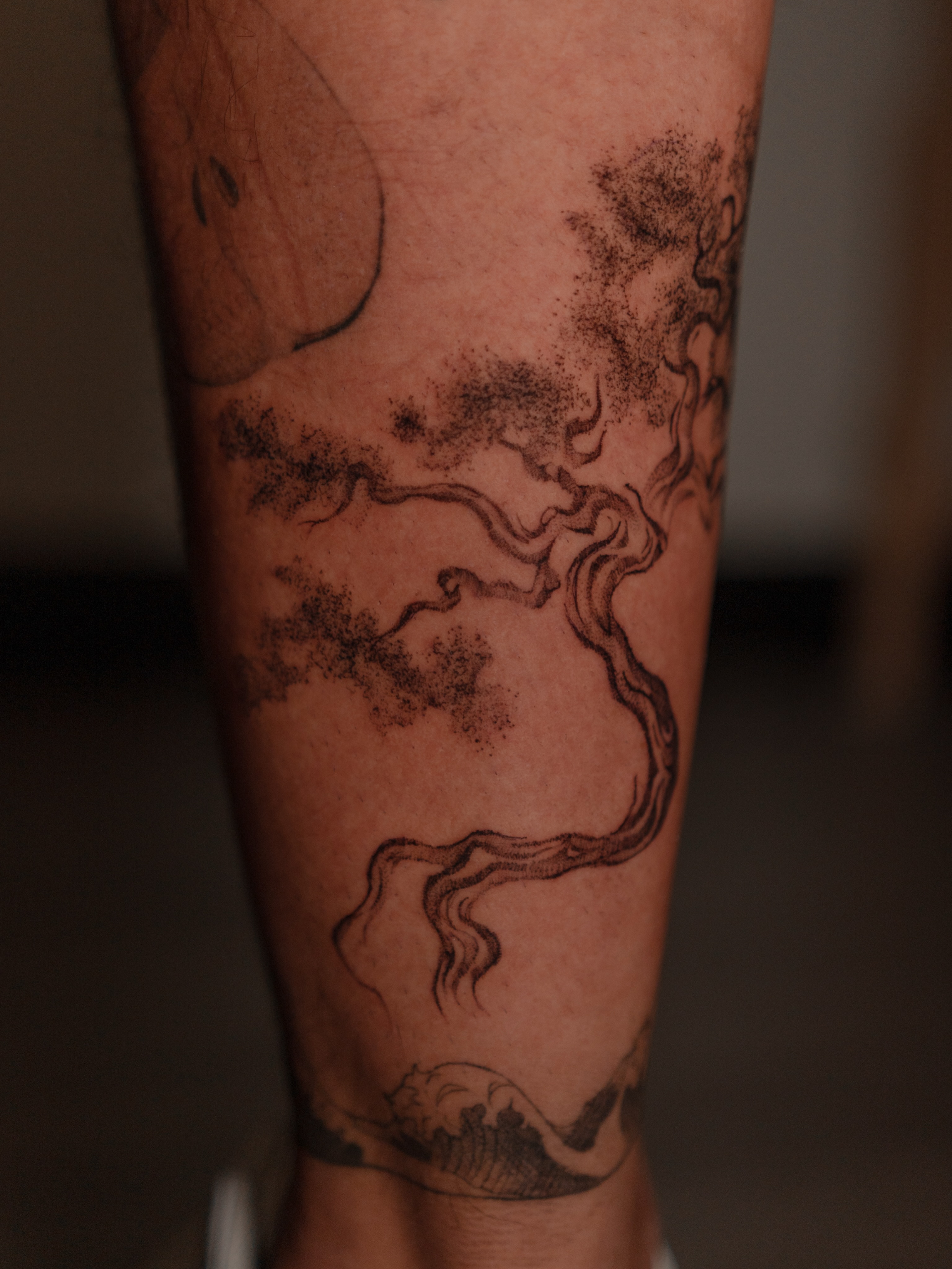Tree dotwork tattoo on the calf by Jen- San Antonio tattoo artist