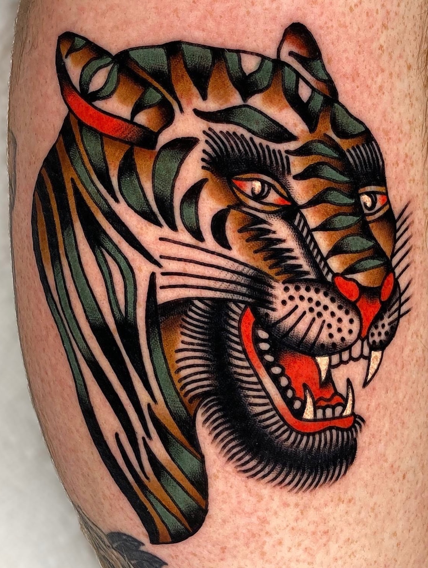Roaring tiger American traditional tattoo on the thigh by Dustin Stemen, Charlotte, North Carolina