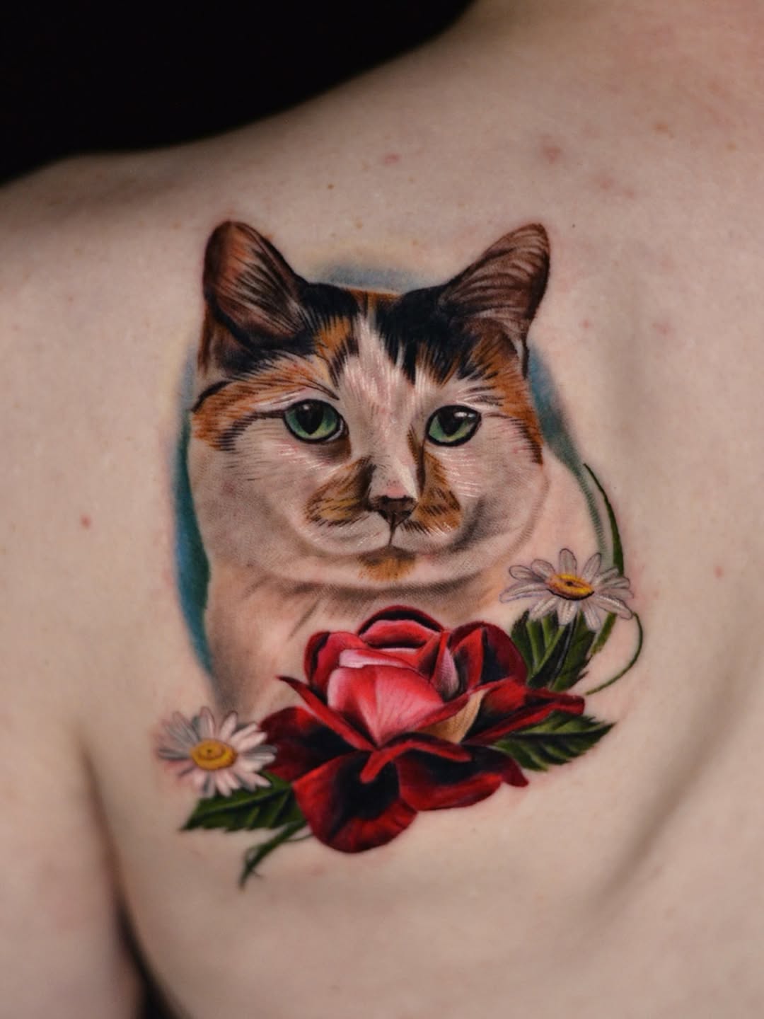 Cat portrait with rose and daisies realism tattoo on the chest by Jules, Arlington, Texas