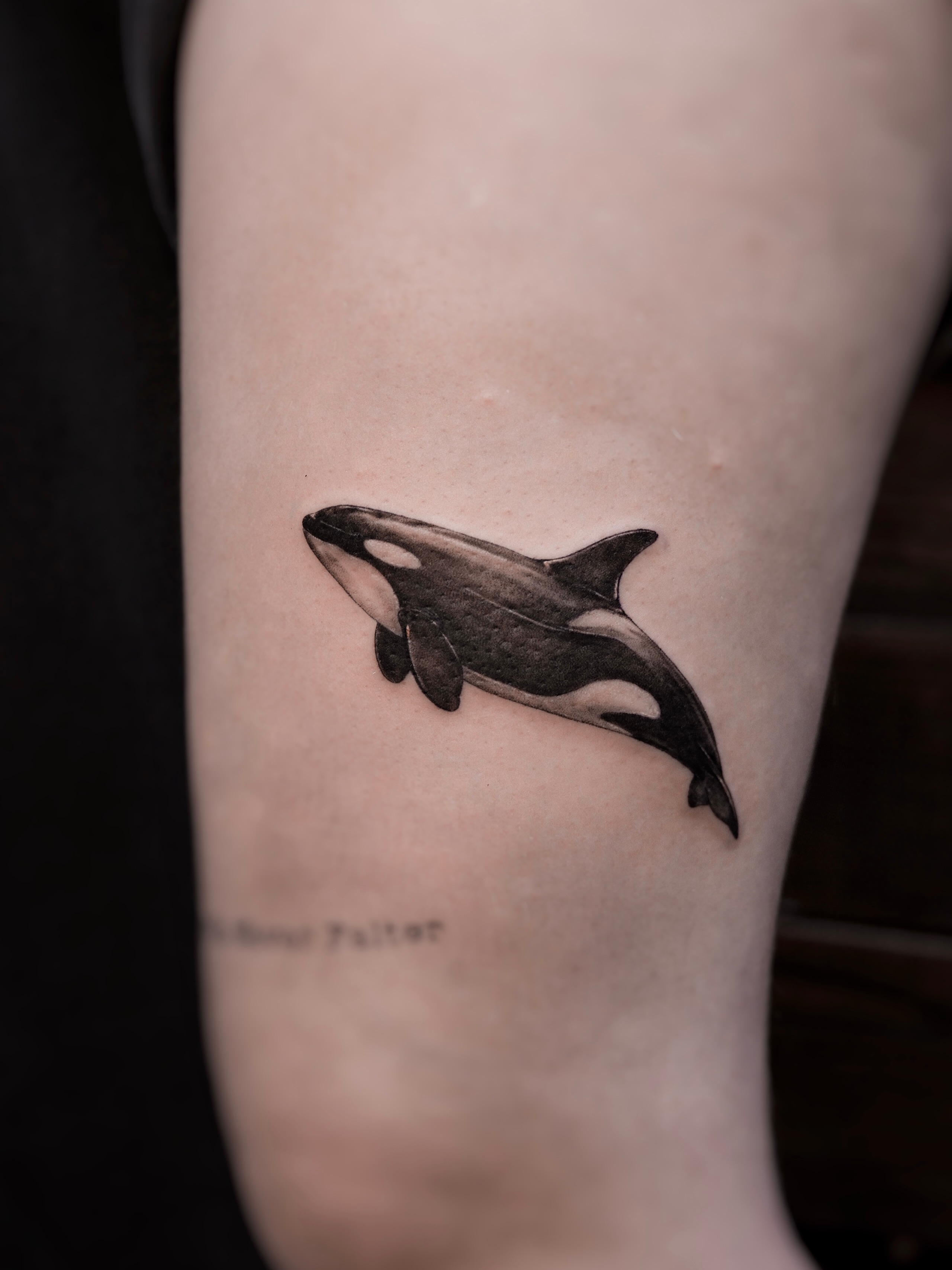 Orca whale realism tattoo on the forearm by Alina 🌙 Tattoo in Calgary 🇨🇦
