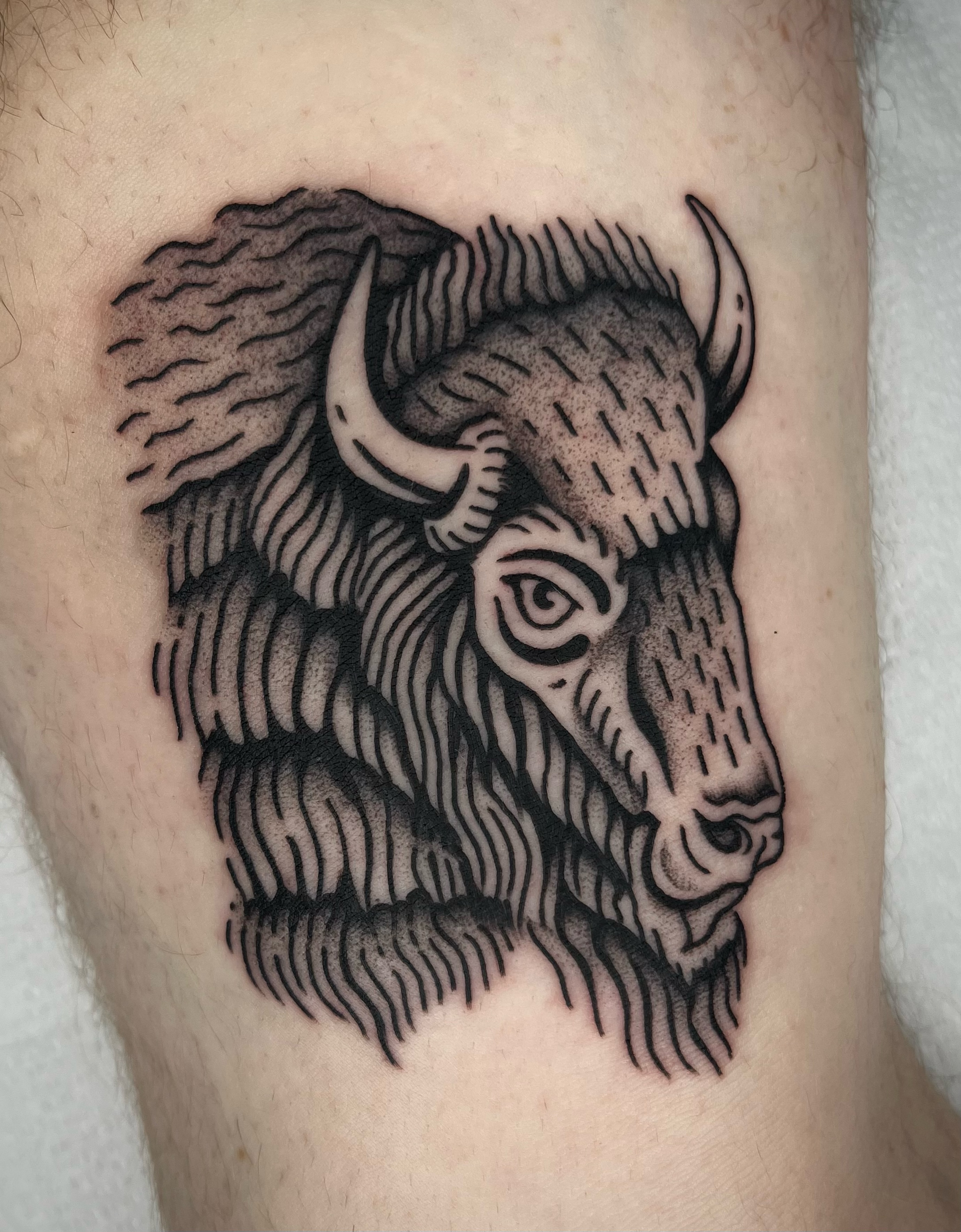 Buffalo black and grey tattoo on the forearm by Patrick Elijah