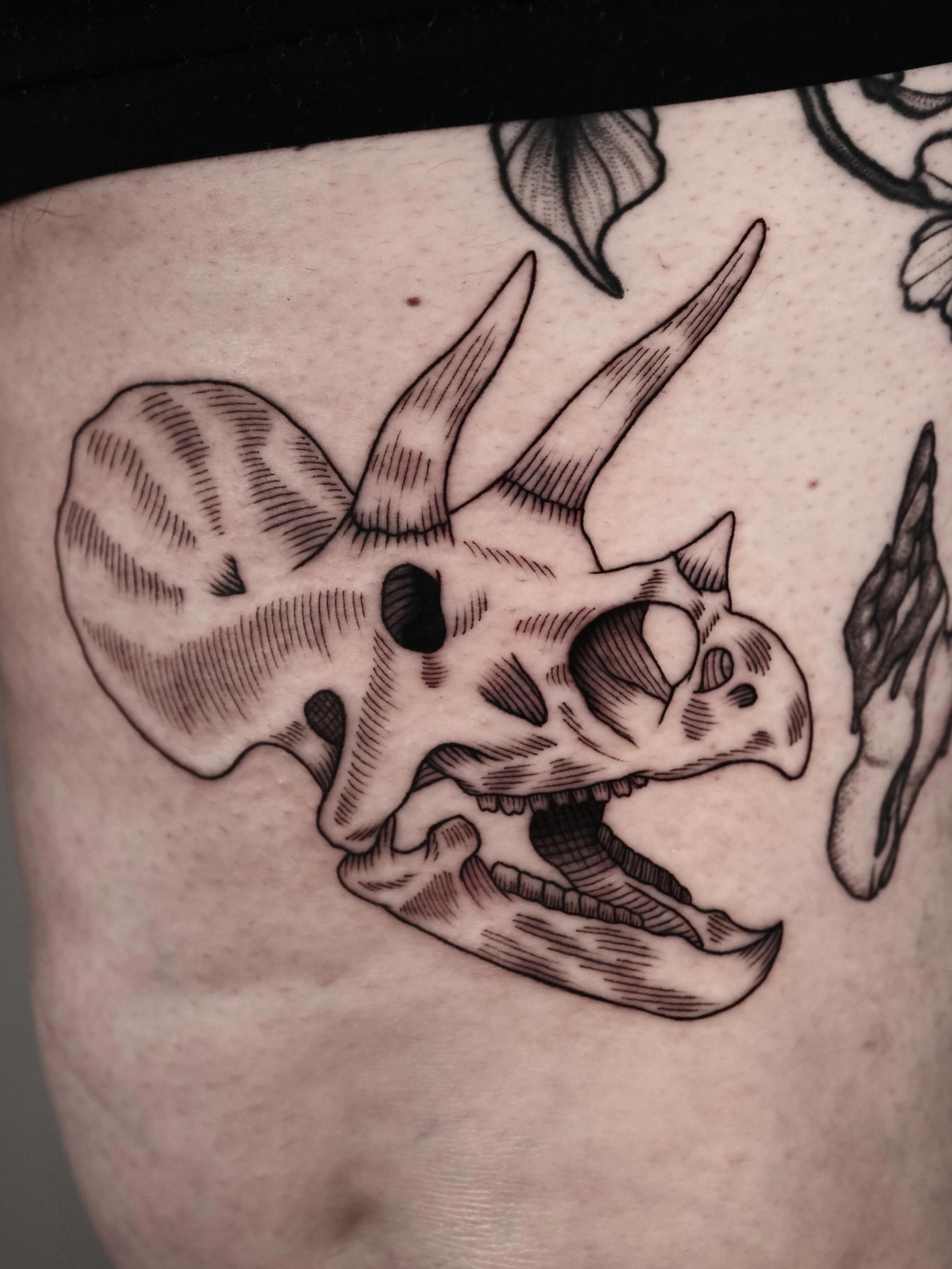 Triceratops skull black and grey tattoo on the thigh by Peter(피터)