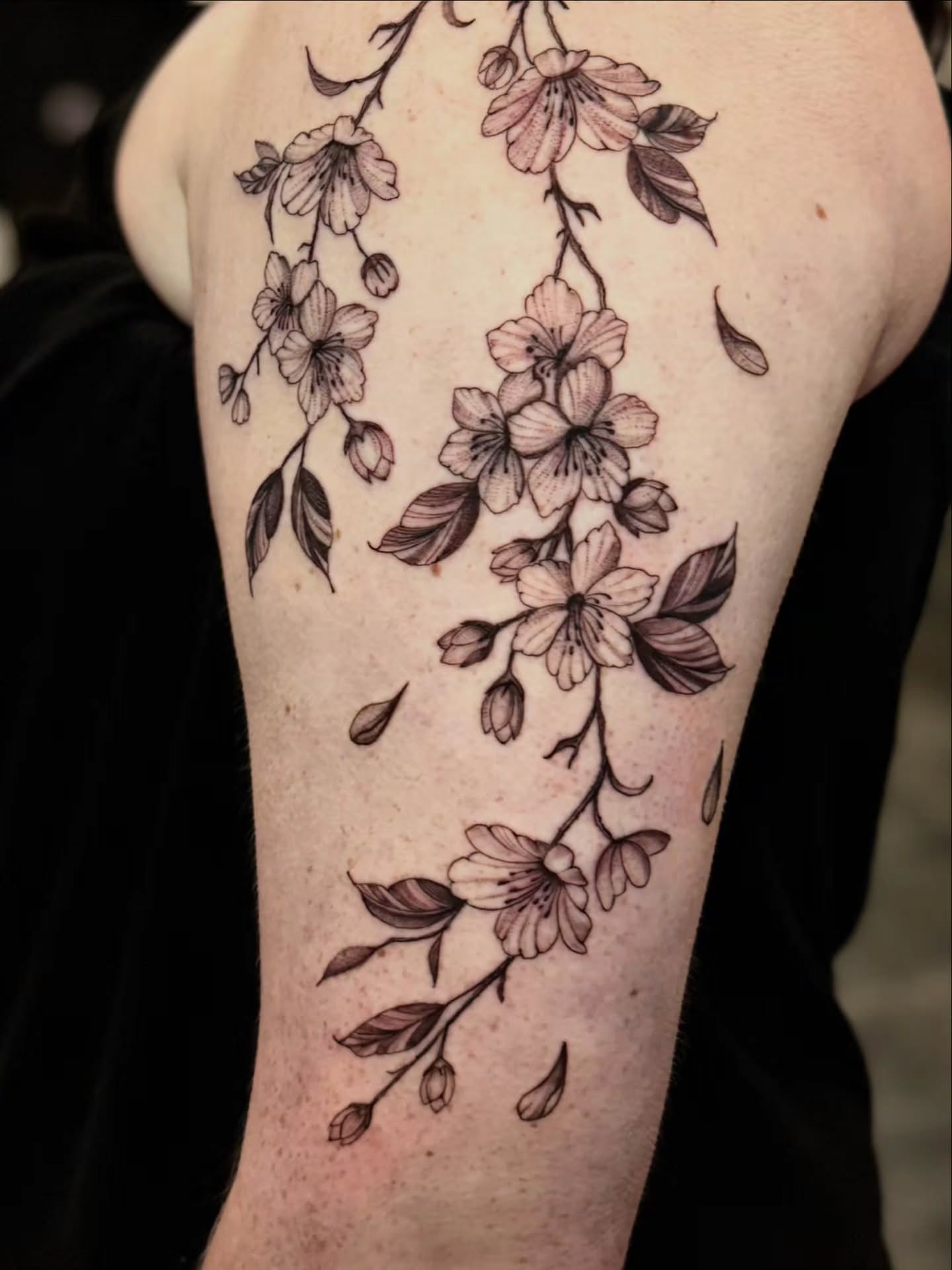 Cherry blossoms black and grey tattoo on the forearm by Paola Pineda Tattoo, Knoxville, Tennessee