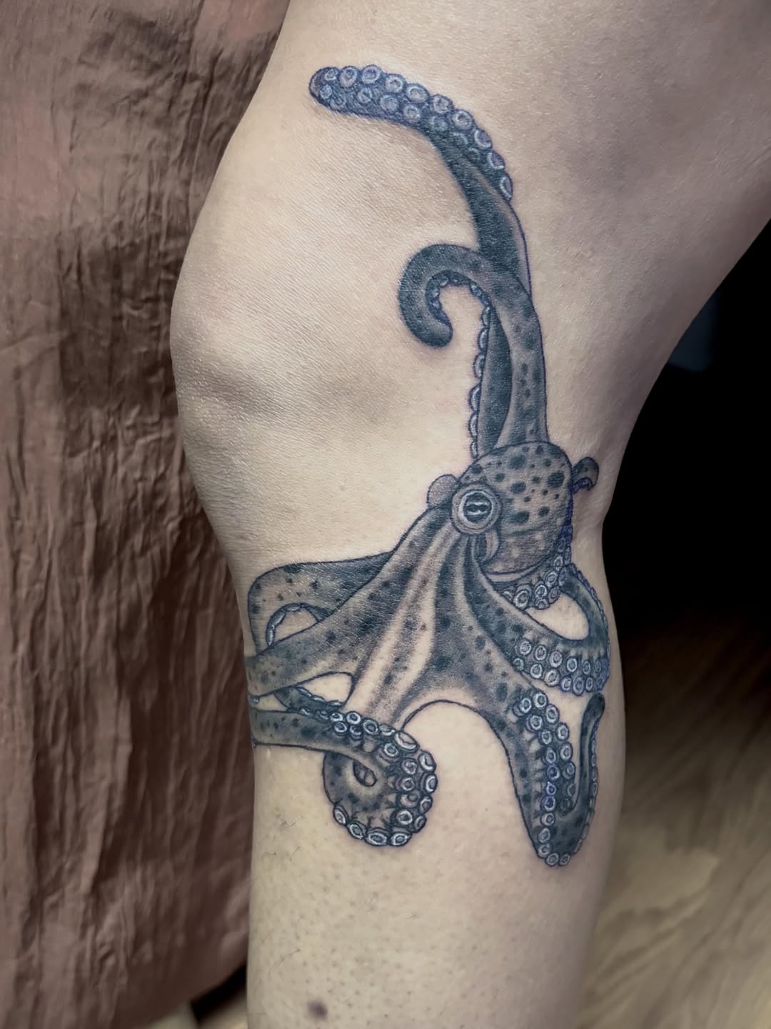 Octopus fine line tattoo on the forearm by Ashly Hutchens, Richmond, Virginia