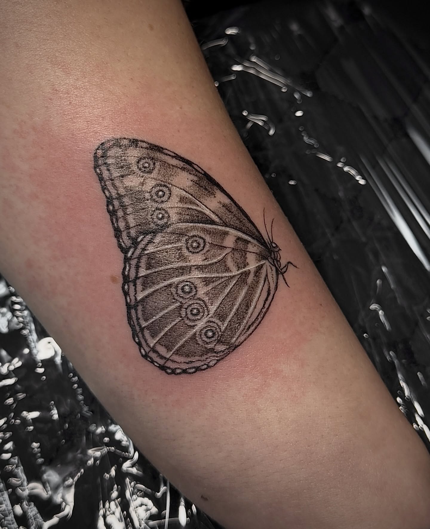 Butterfly dotwork tattoo on the forearm by 𝐀𝐝𝐫𝐢𝐞𝐥 𝐓𝐢𝐧𝐤𝐥𝐞𝐧𝐛𝐞𝐫𝐠 ⏾, Denison, Iowa