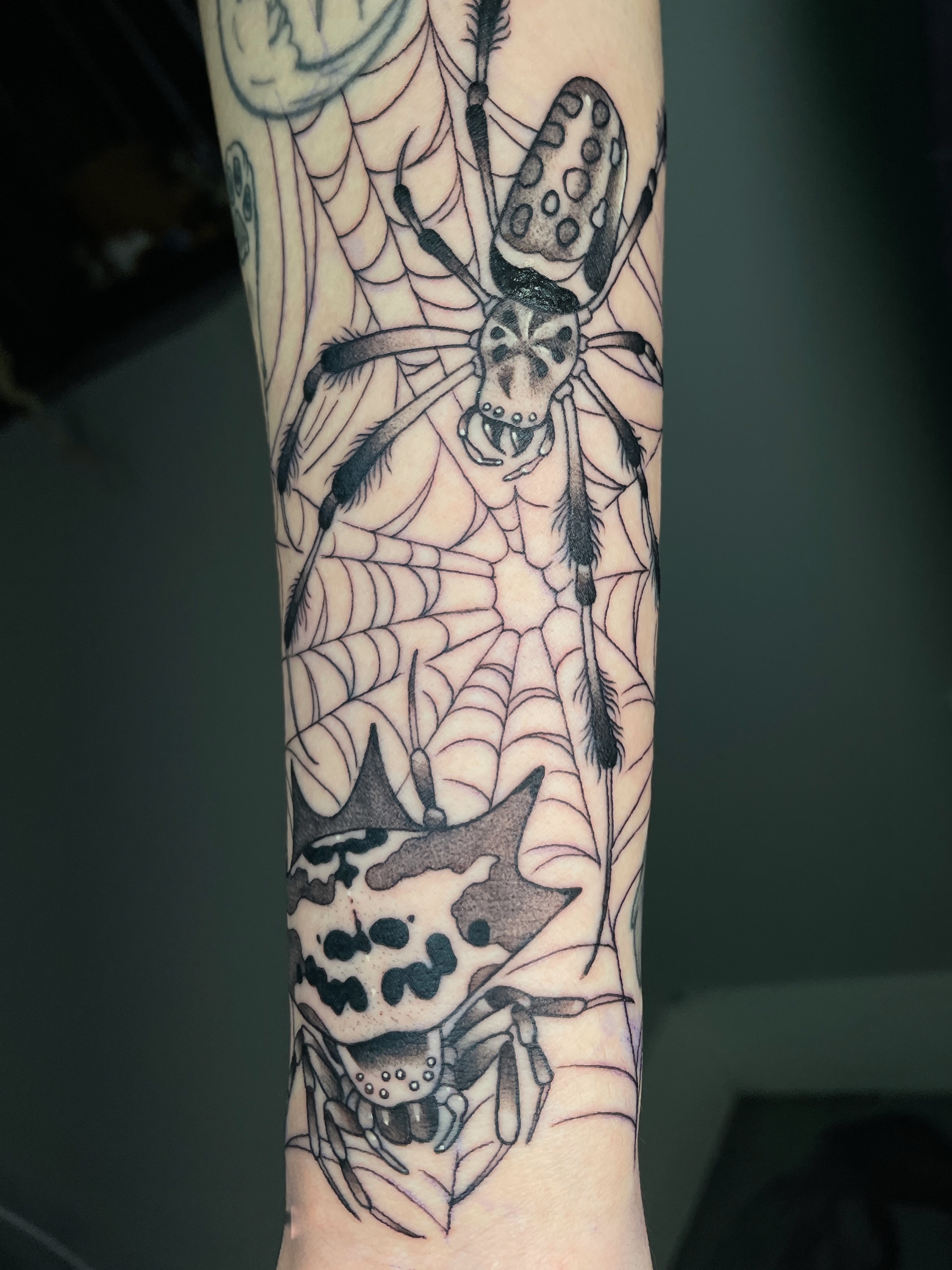 Spider web geometric tattoo on the forearm by zoey sage ✦