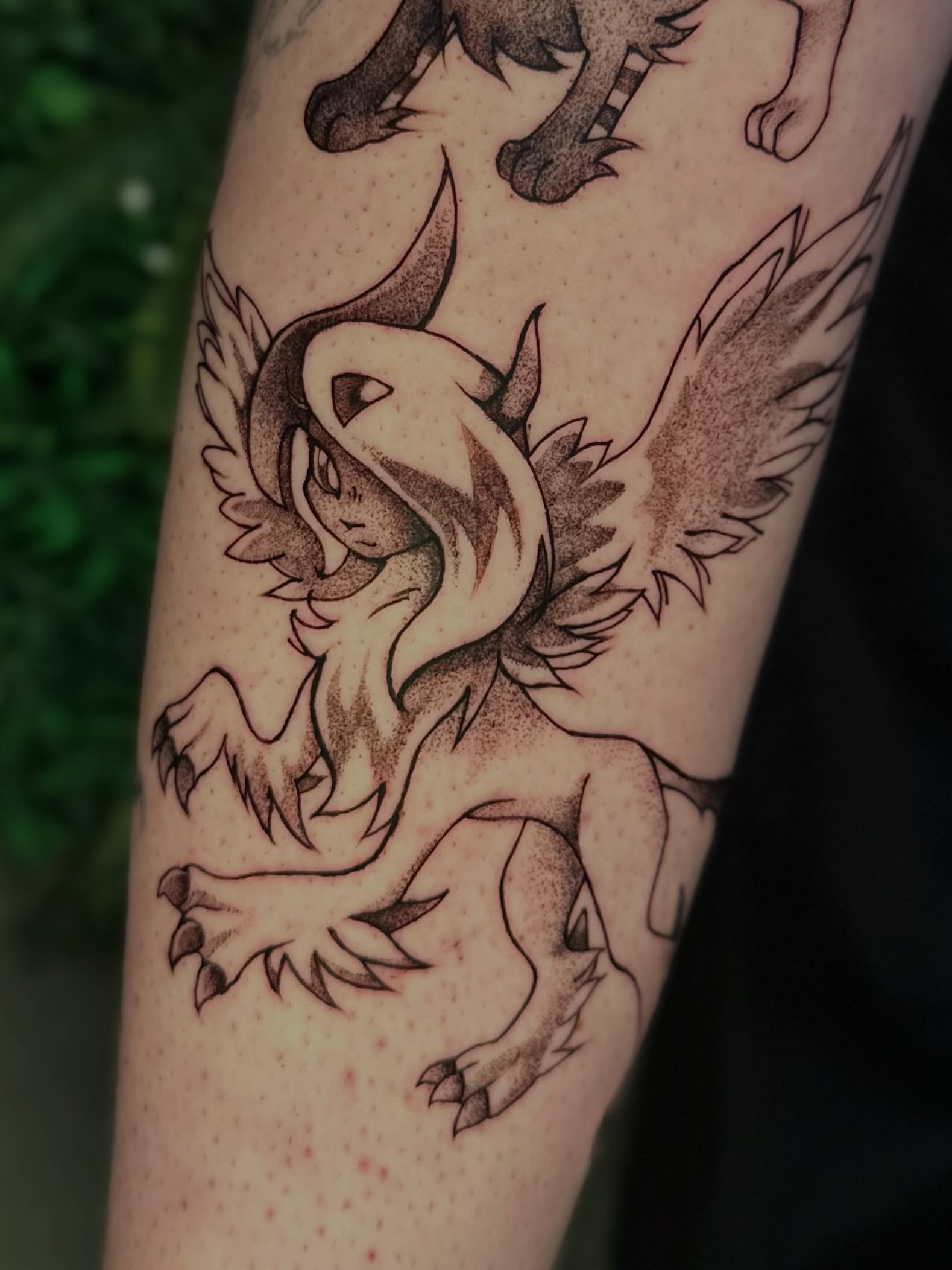 Tattoo by @moggy_tattoo โ dotwork