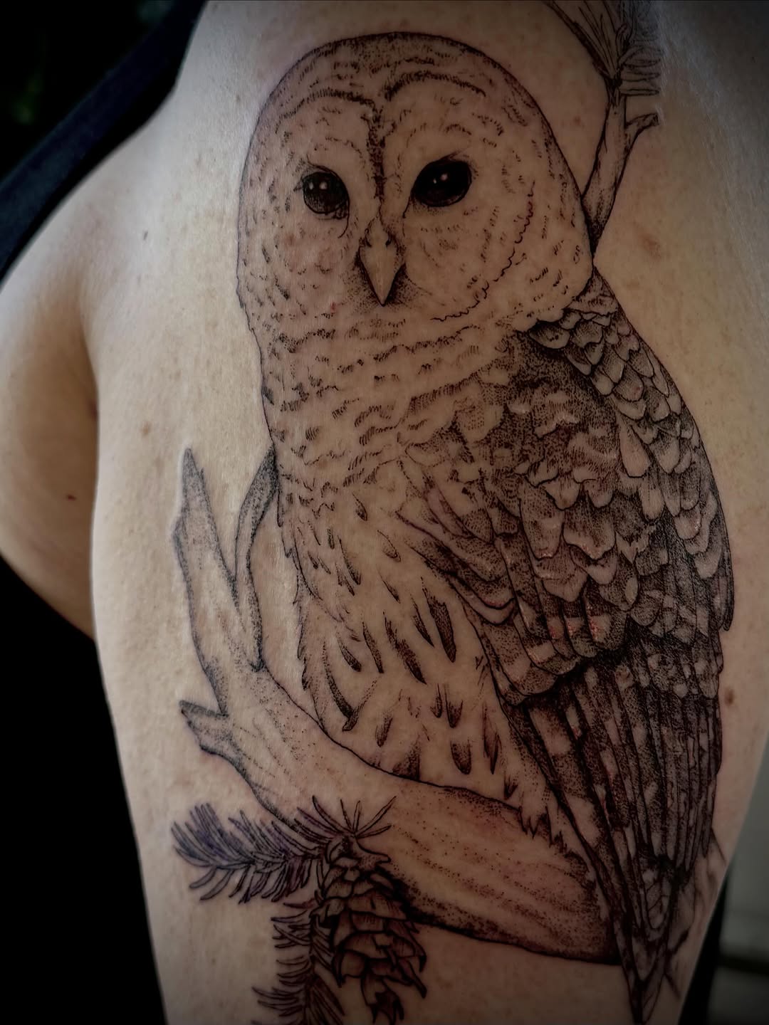 Tattoo by @christen_wolfe — black_and_grey, dotwork