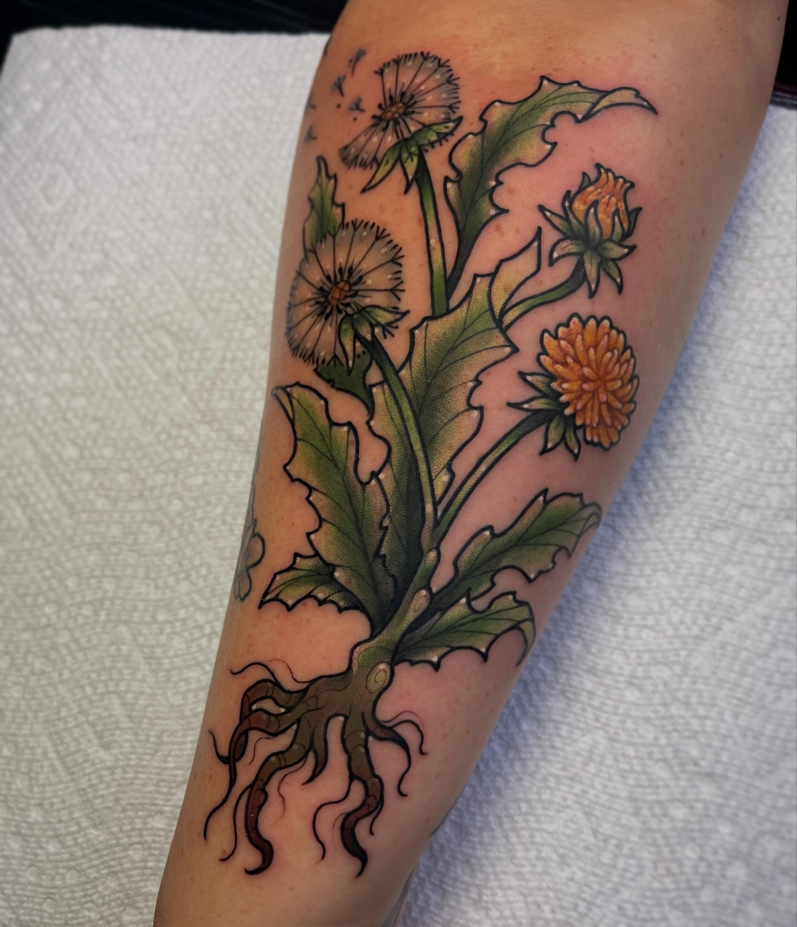 Dandelion plant realism tattoo on the forearm by 🌿Izzy🌿