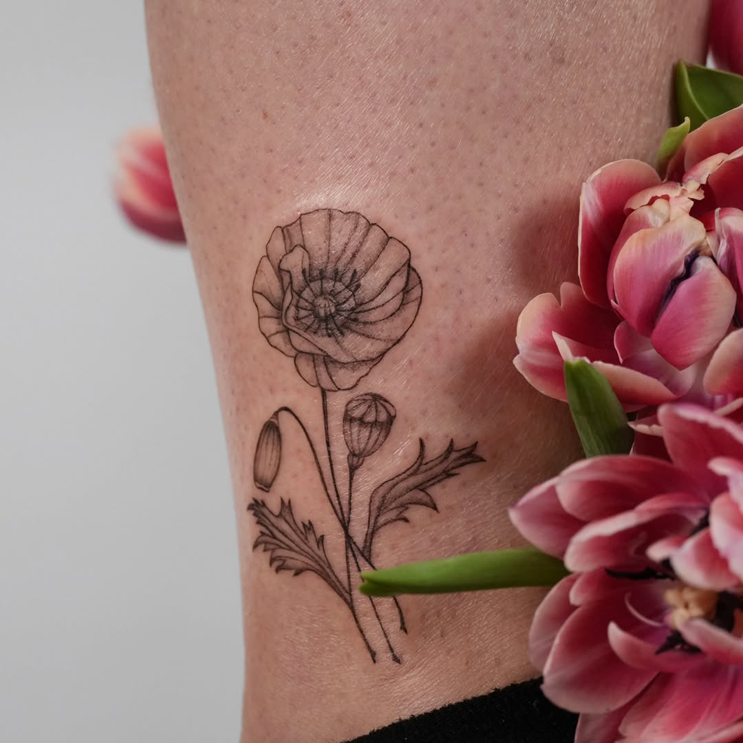 Poppy flower sketch tattoo on the forearm by Alex ▪︎ Tattoo Apprentice