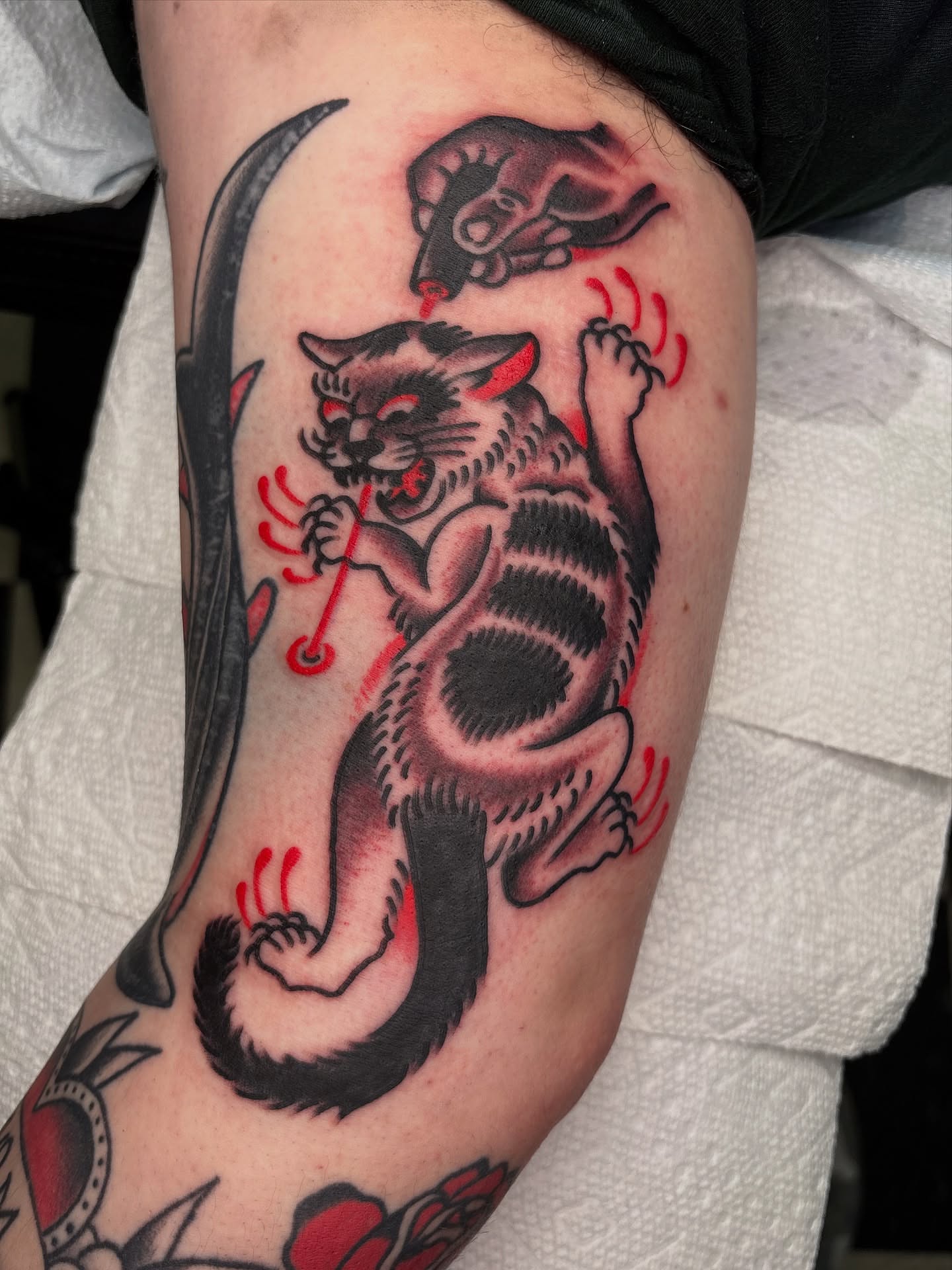 Cat and scythe American traditional tattoo on the forearm by Andrew Silva