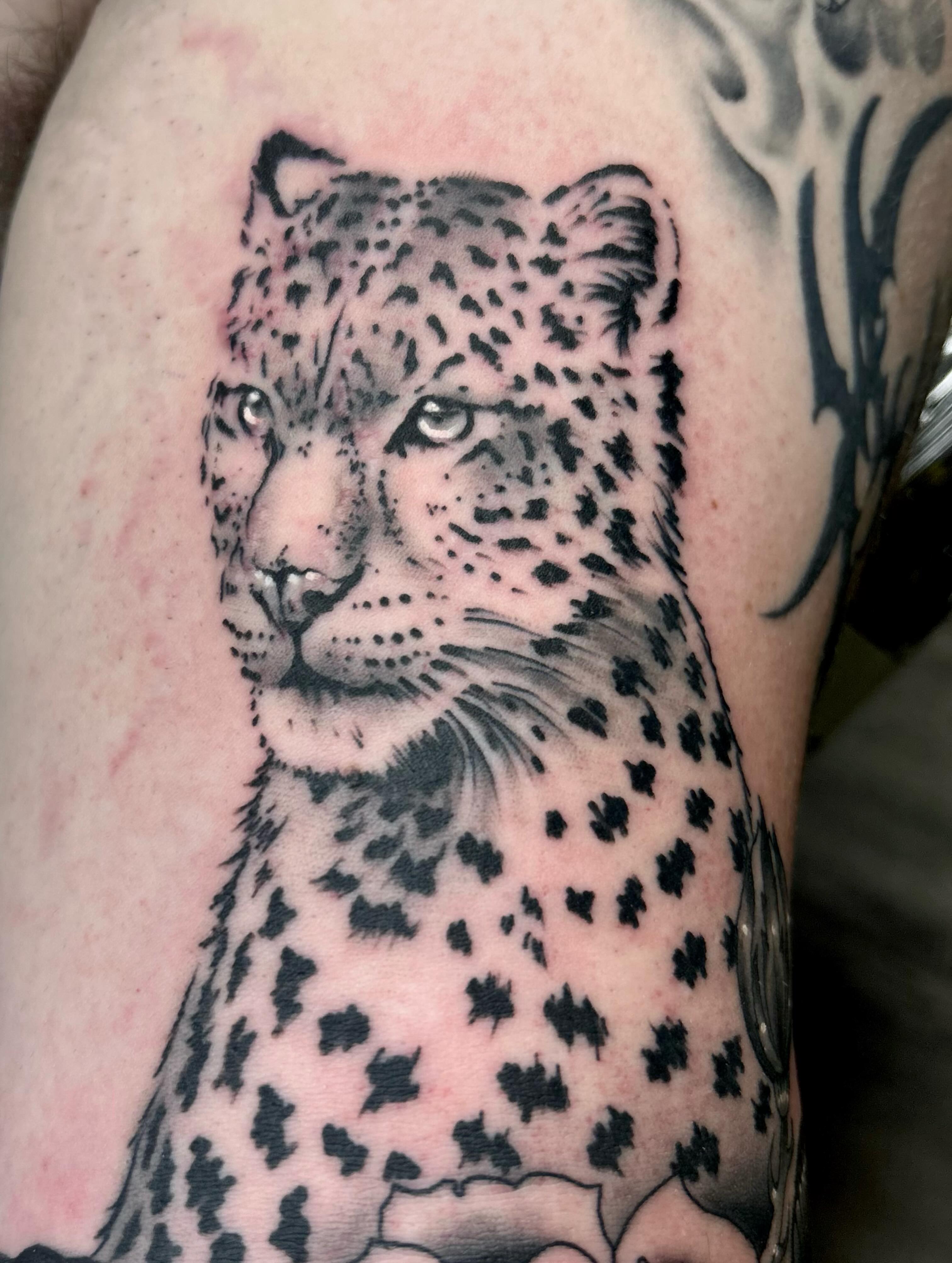 Snow leopard realism tattoo on the forearm by darklord_666