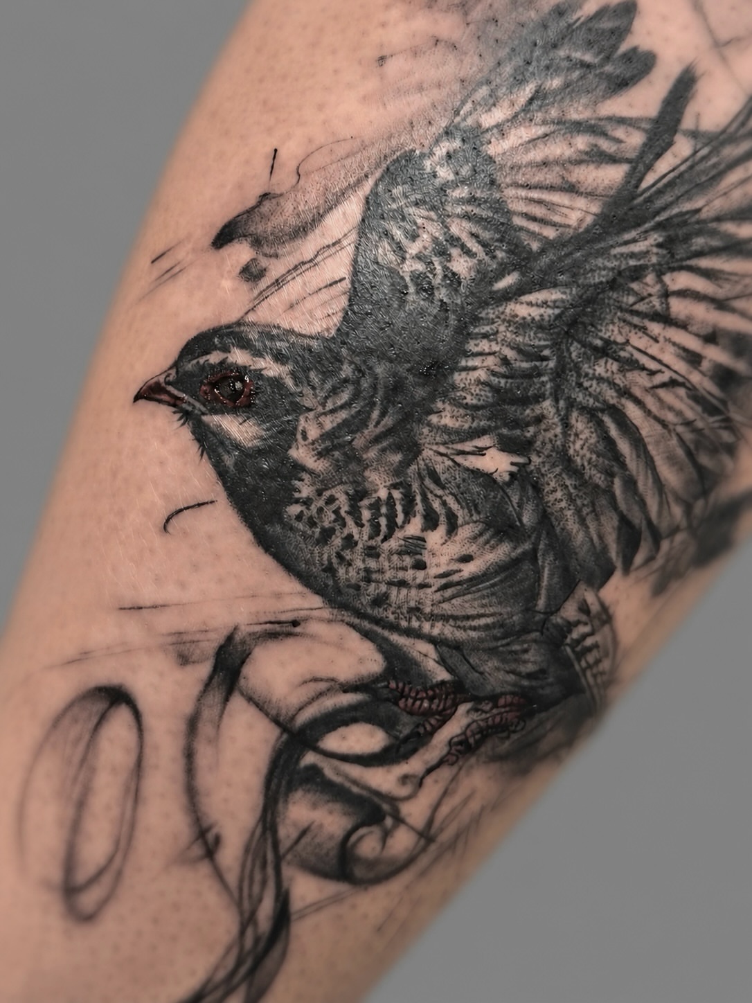 Bird realism tattoo on the forearm by Abi