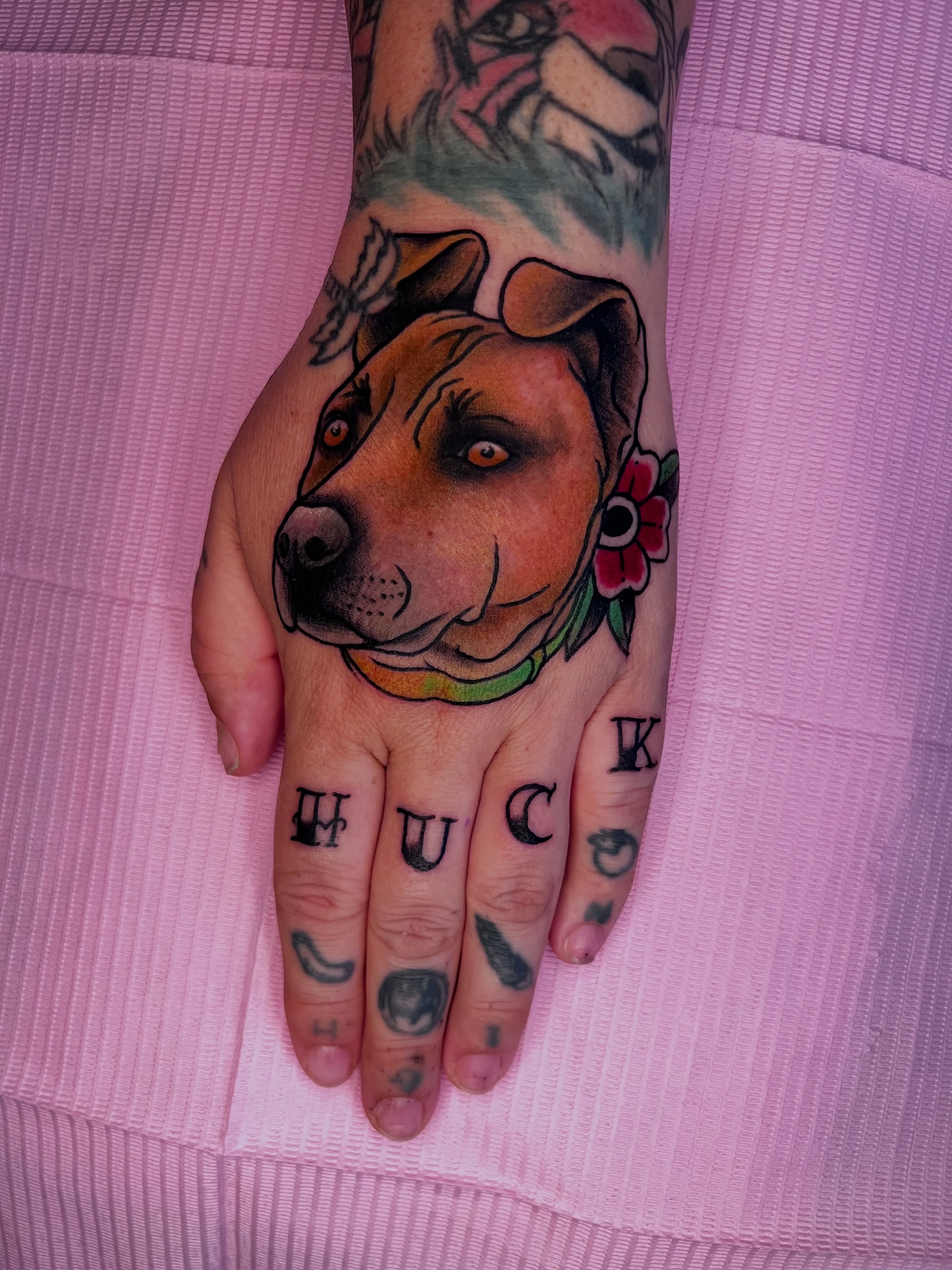 Pitbull head realism tattoo on the hand by Chowdah Bowl