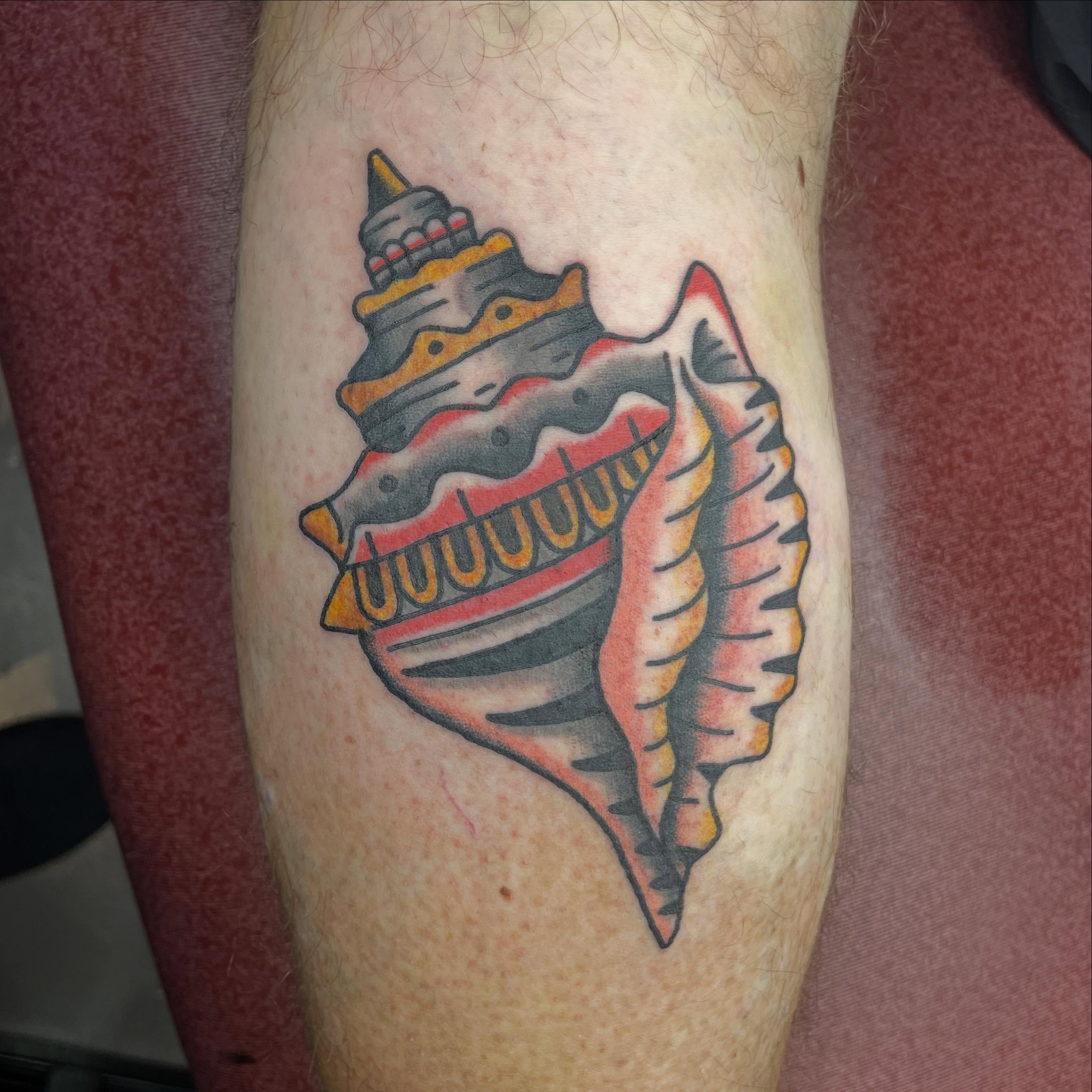 Conch shell American traditional tattoo on the forearm by Mitchell Willard