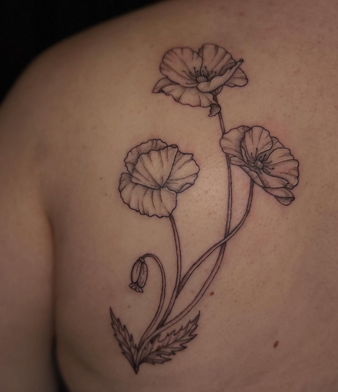 Tattoo by @inkbygoose — fine_line, black_and_grey