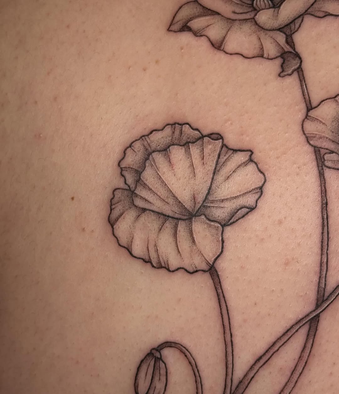 Tattoo by @inkbygoose — fine_line, black_and_grey