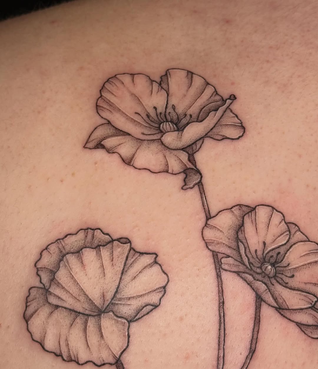 Tattoo by @inkbygoose — fine_line, black_and_grey