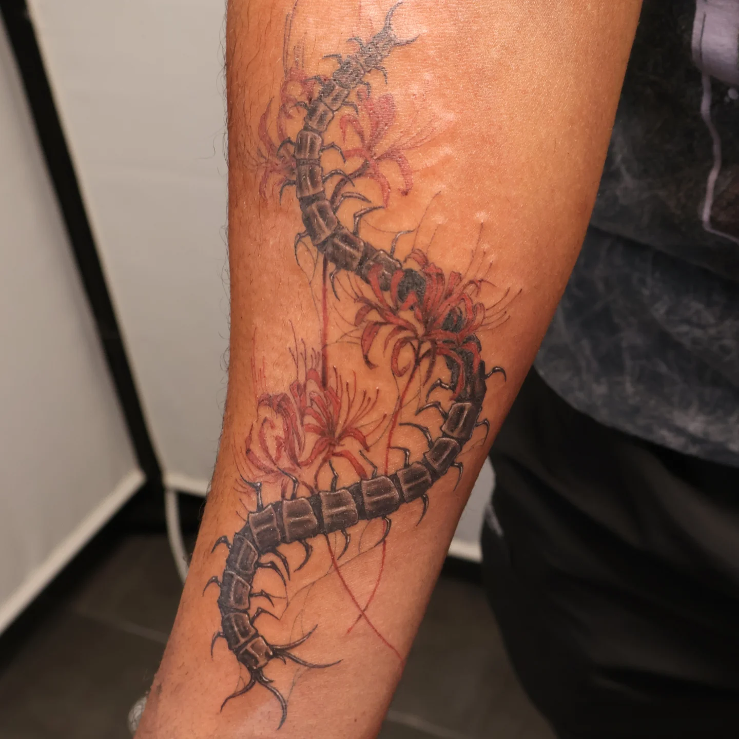 Centipede and flowers realism tattoo on the forearm by Joc