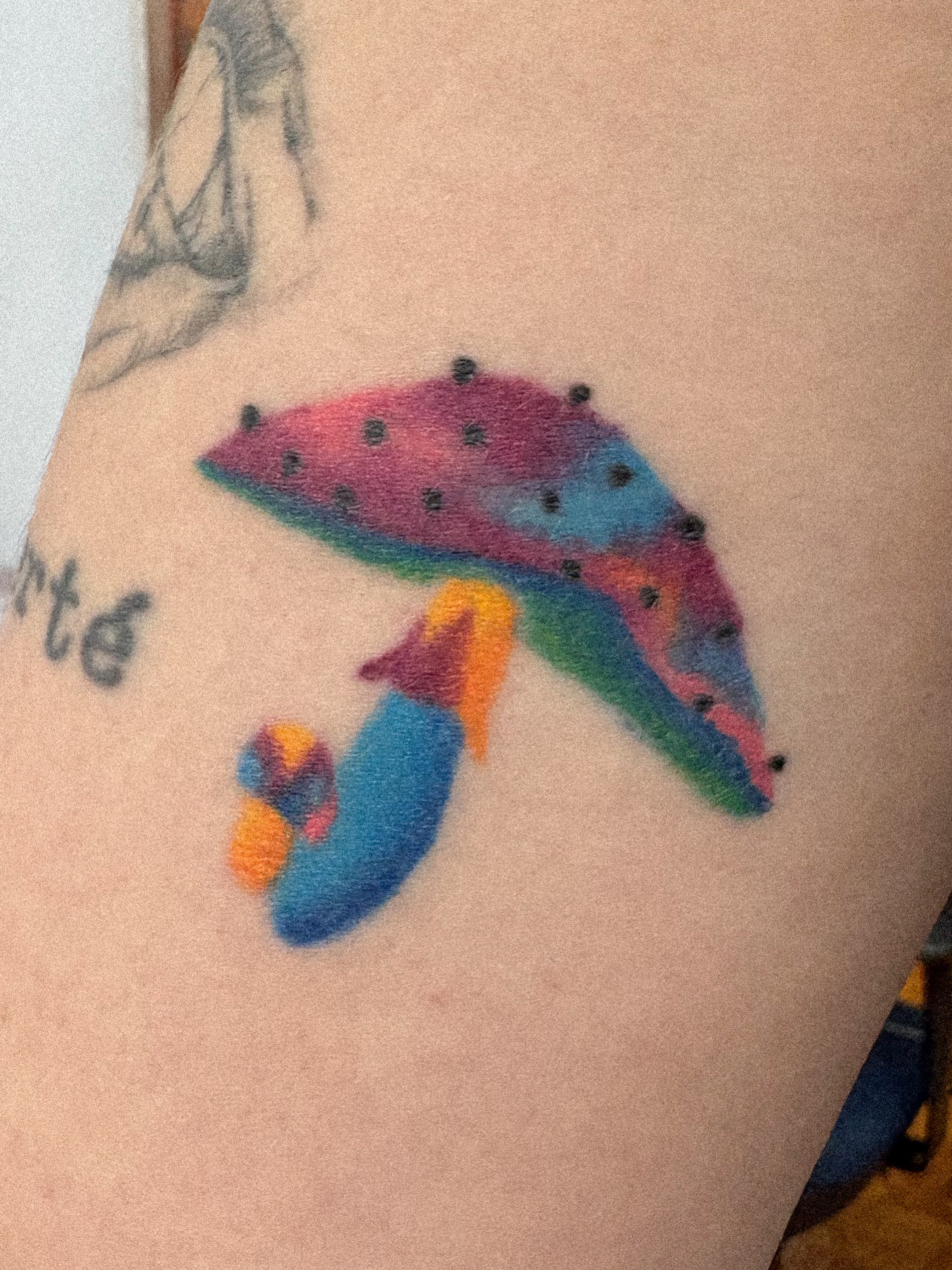 Dolphin dotwork tattoo on the upper arm by júlia sanches ✦︎