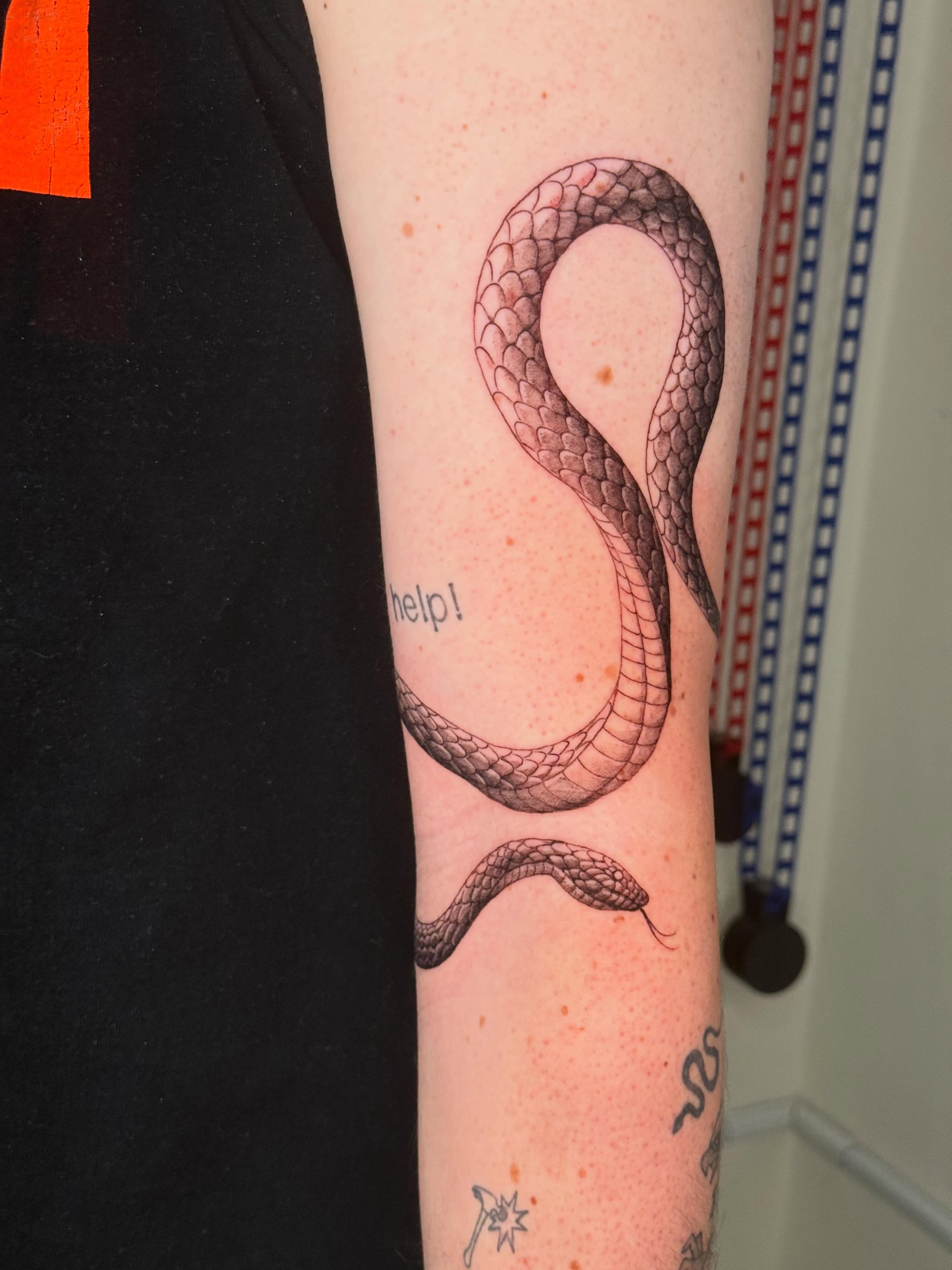 Snake black and grey tattoo on the forearm by Andrew Flatts
