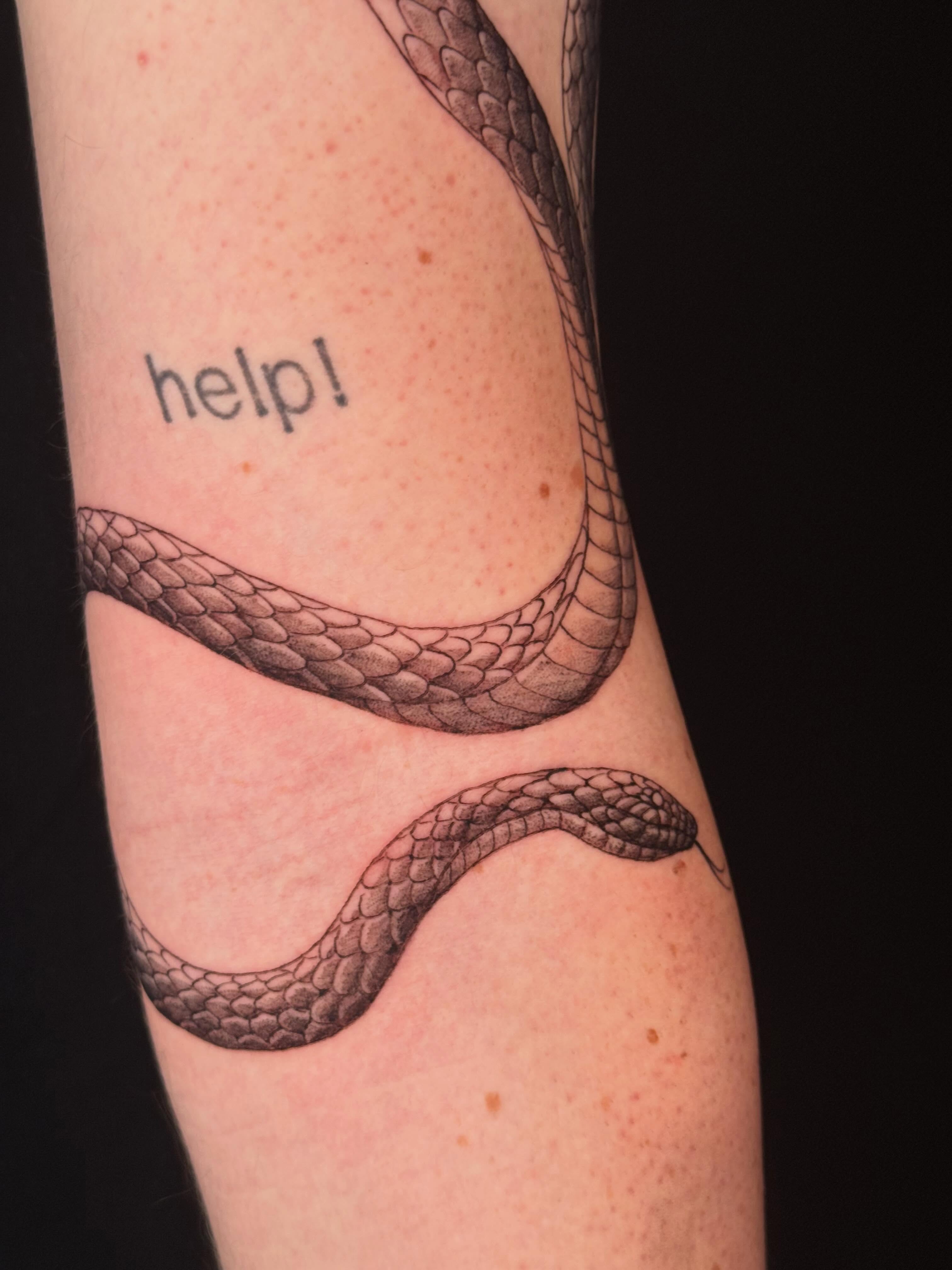 Snake realism tattoo on the forearm by Andrew Flatts