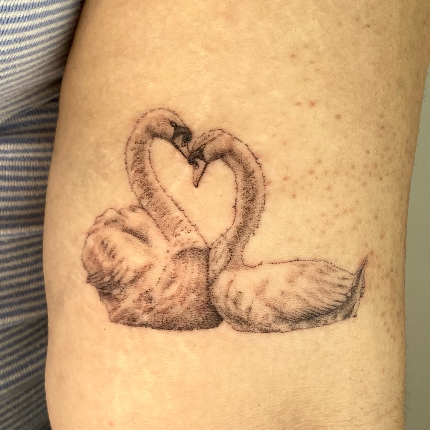 Swans forming heart black and grey tattoo on the forearm by ๐ป๐๐๐๐๐๐๐ โงห*ยฐเฟ