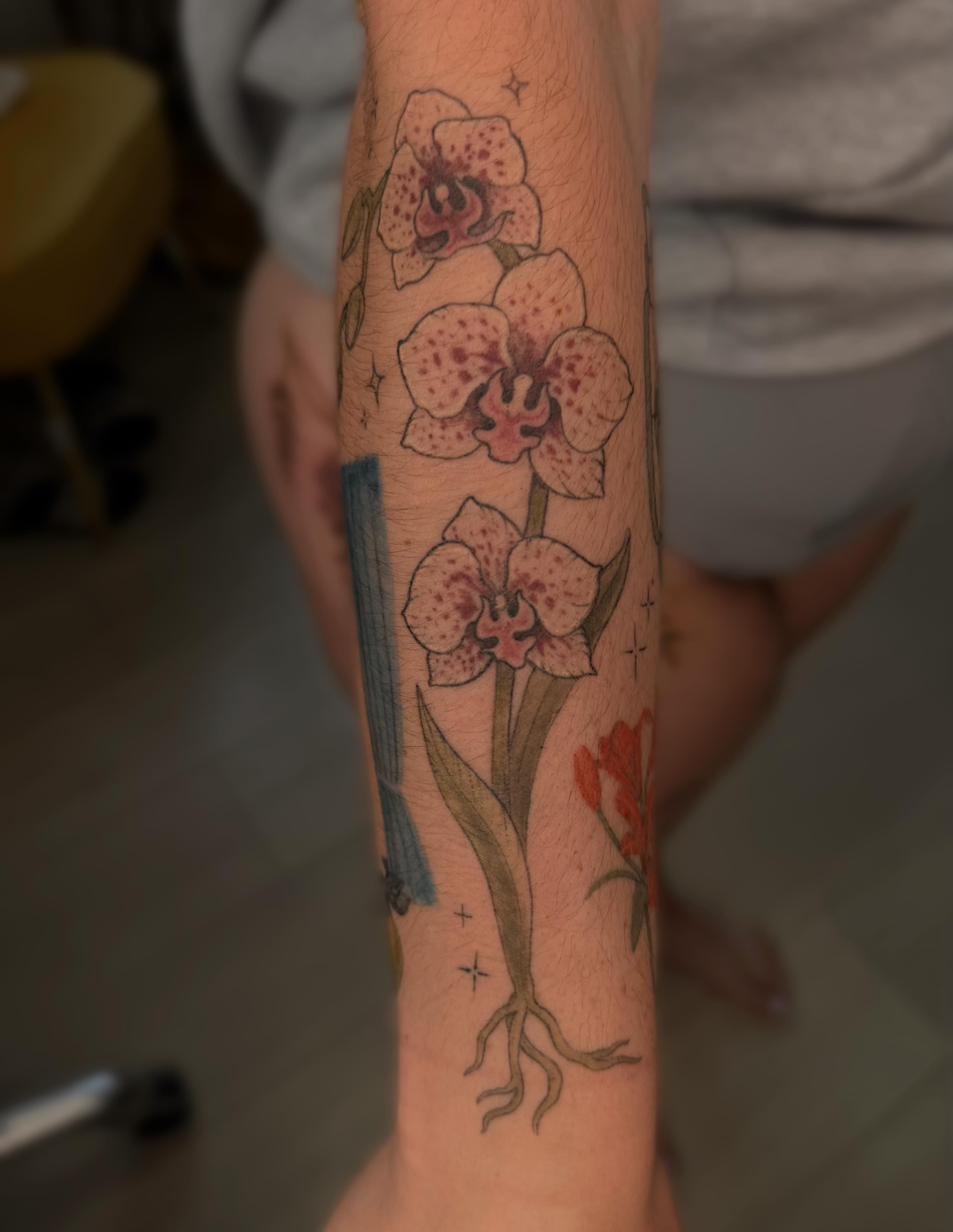 Orchid realism tattoo on the forearm by 🌱Kennedy🌱