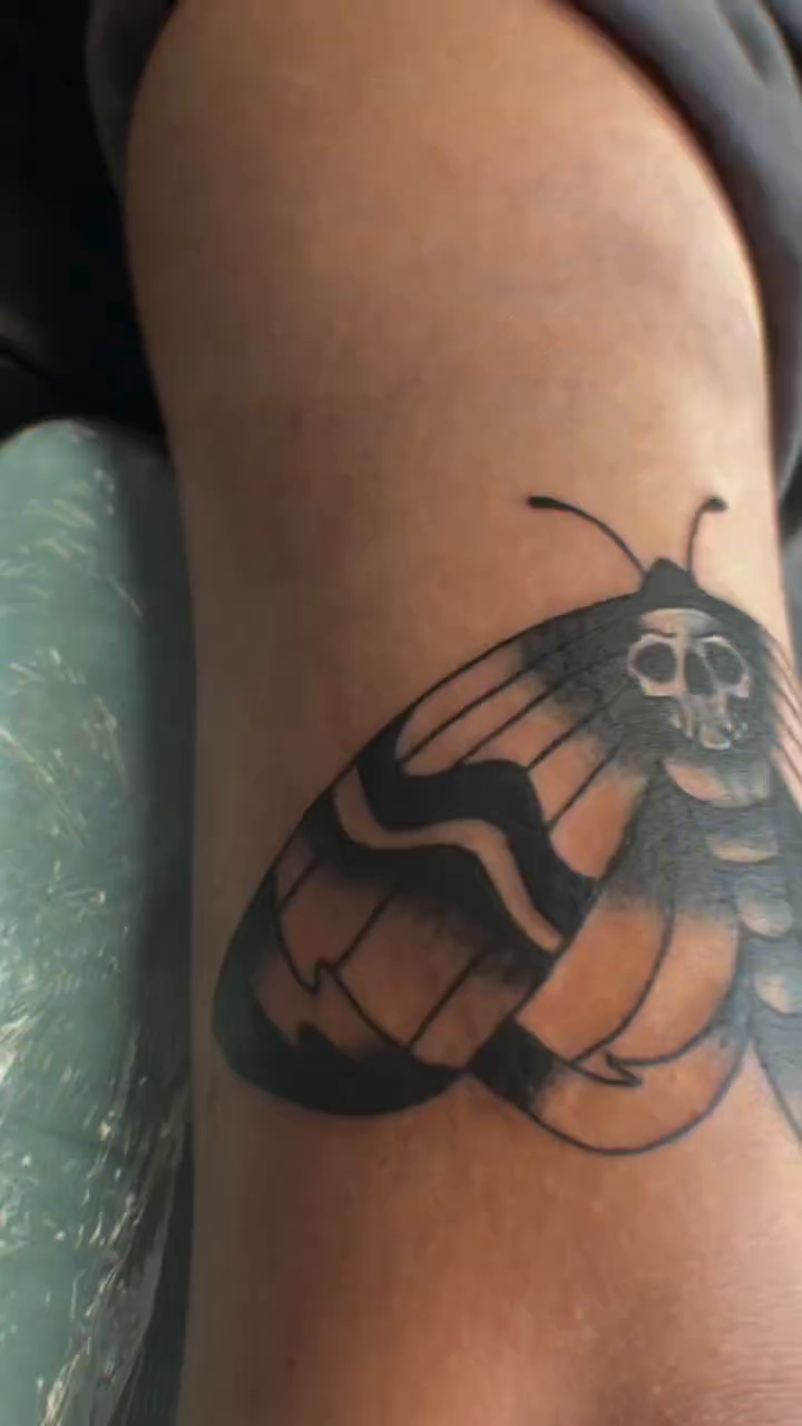 Moth tattoo fine line tattoo on the forearm by ♱ C ♱, Dallas, Texas