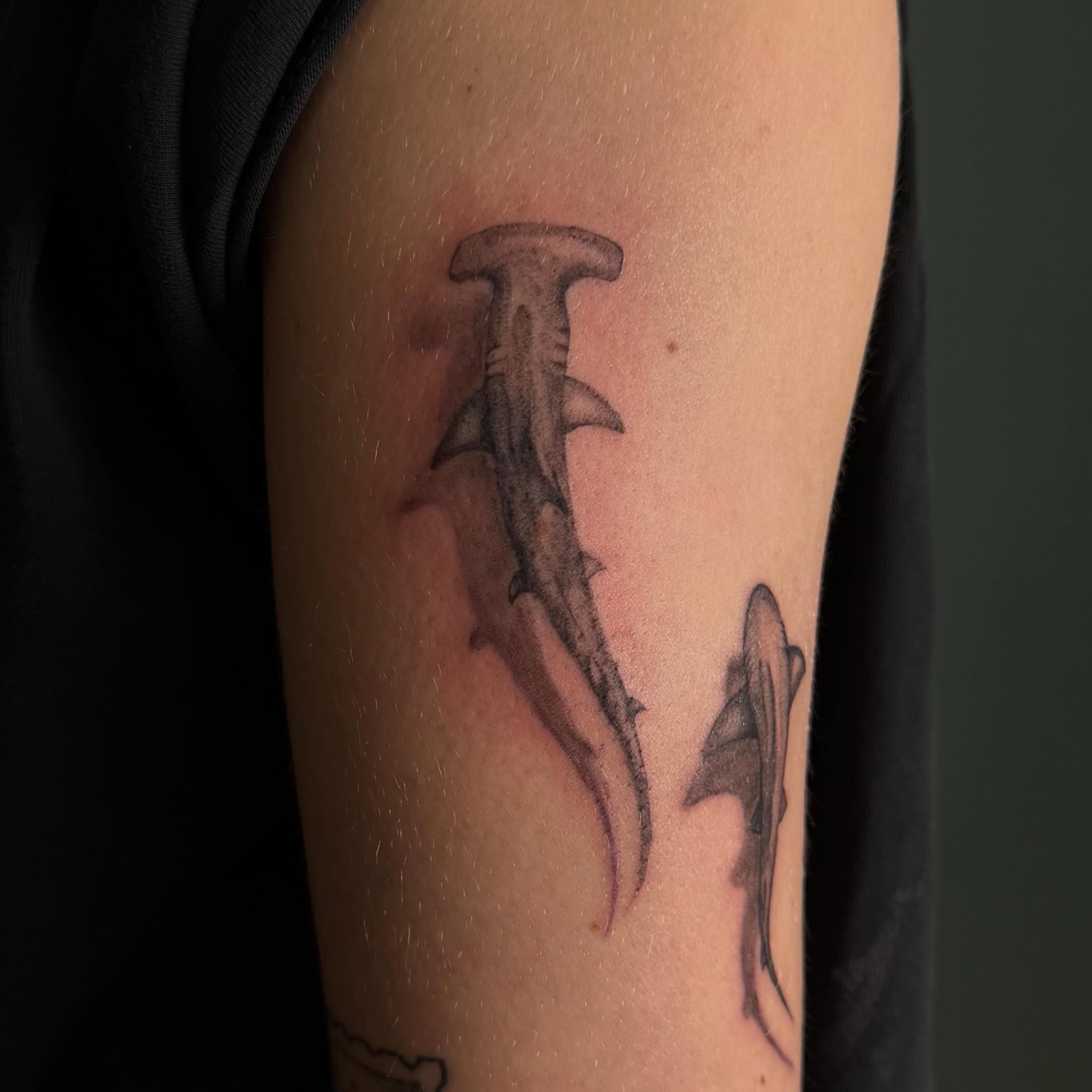 Hammerhead shark black and grey tattoo on the forearm by Bailee