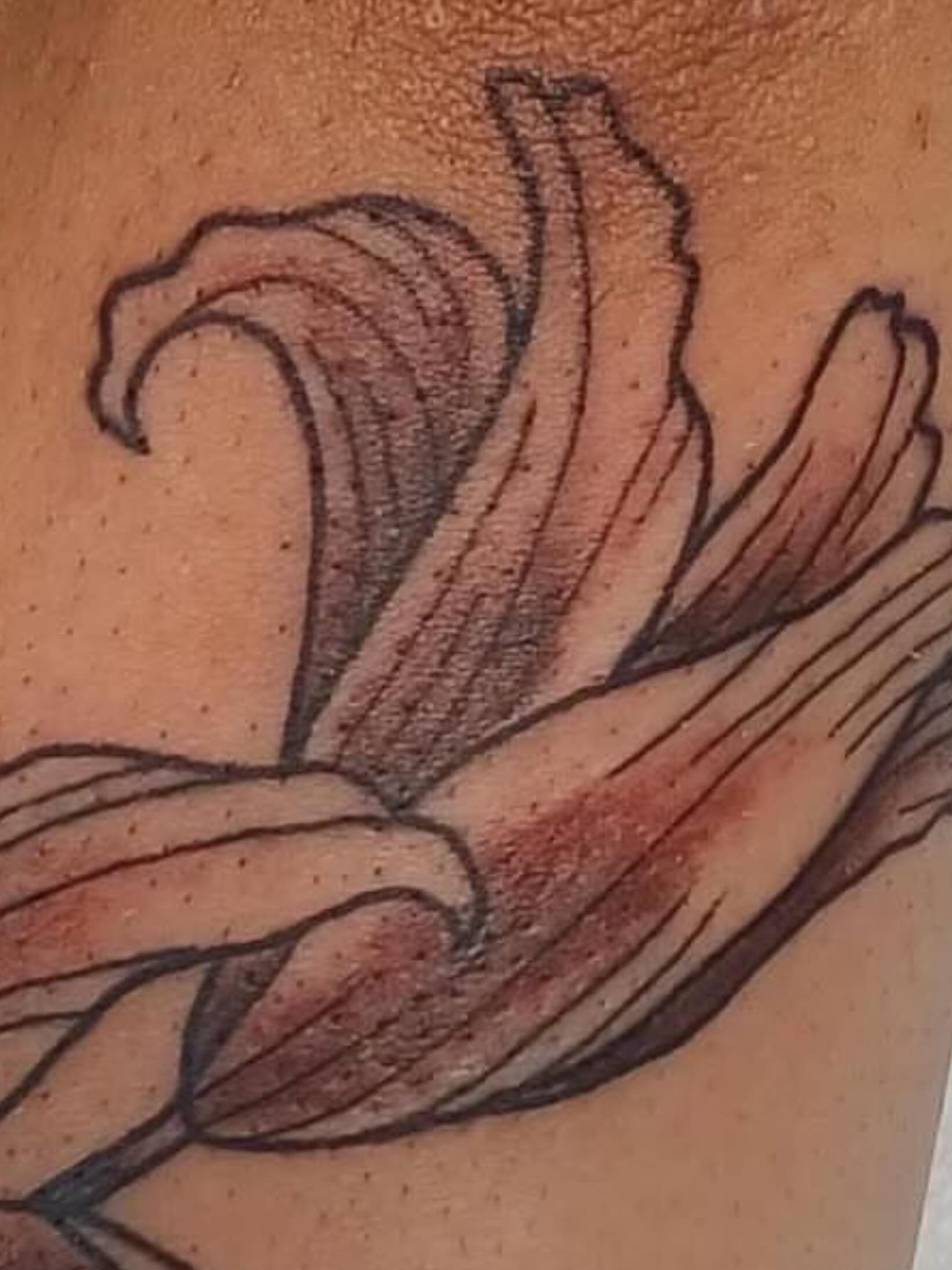 Rose black and grey tattoo on the upper arm by Abi
