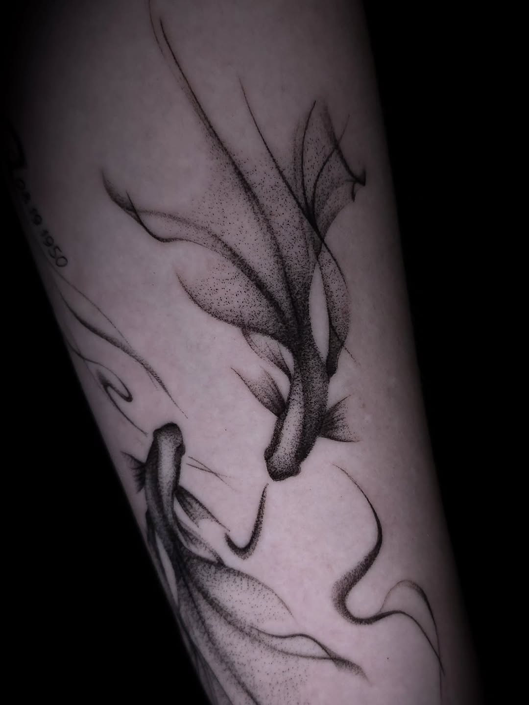 Tattoo by @ink_by_vi_tattoo — dotwork, fine_line