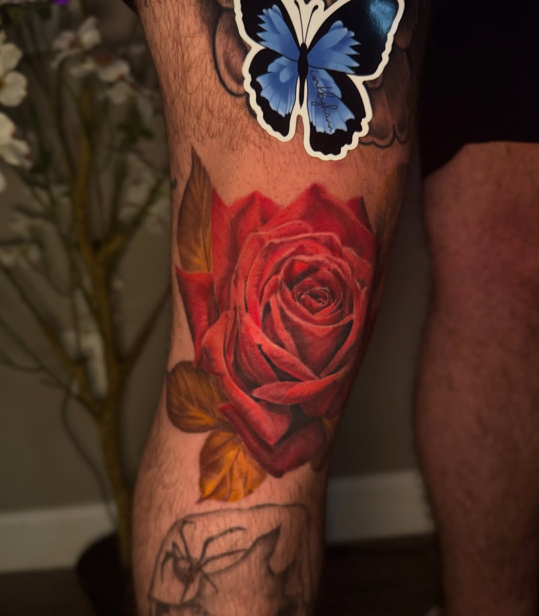 Red rose realism tattoo on the forearm by Hannah Marie ๐ฆ, Benbrook, Texas