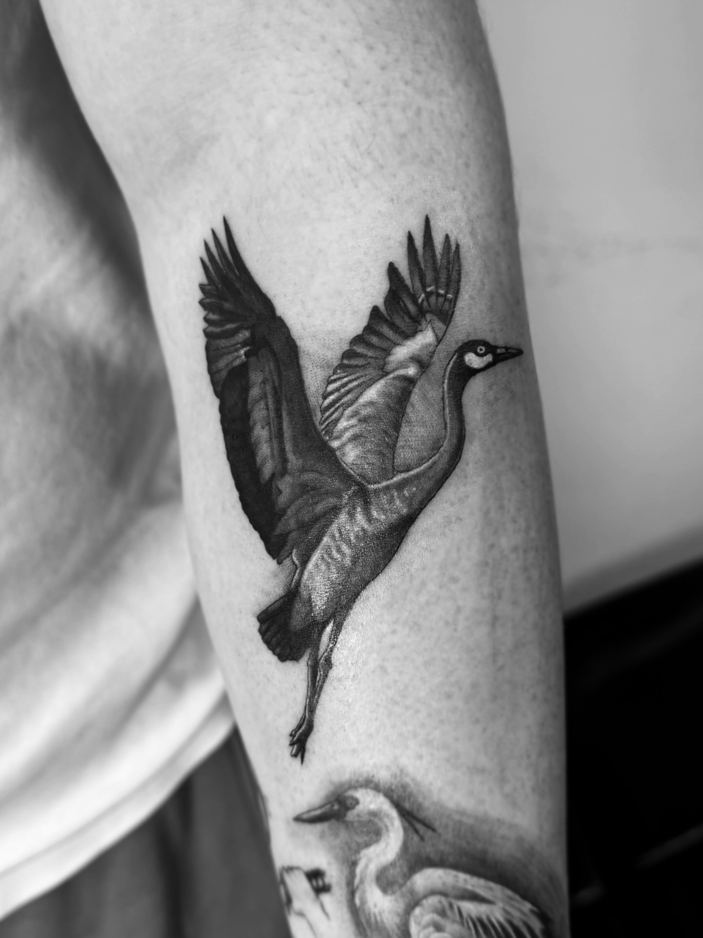 Tattoo by @em.isabella_ink โ realism