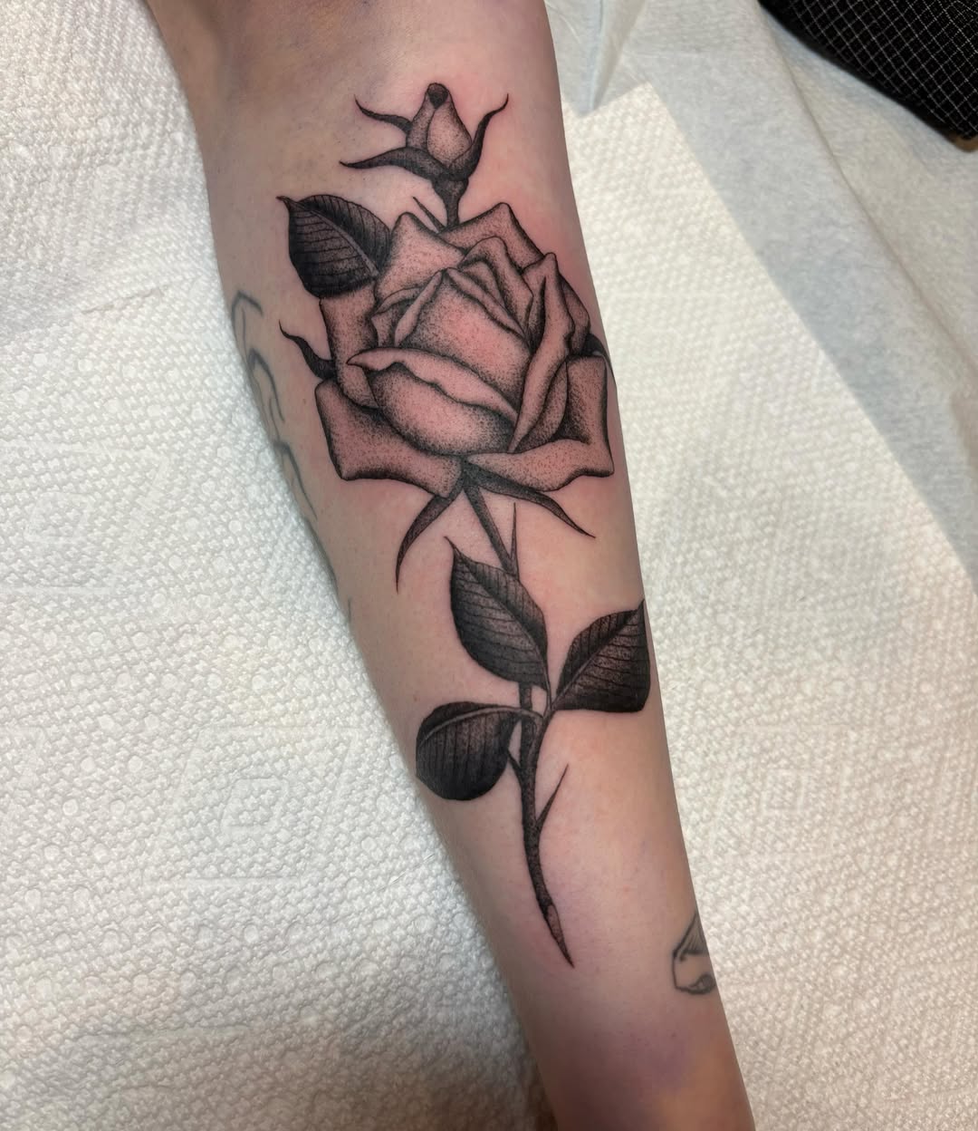 Rose dotwork tattoo on the forearm by Jackson Kirchhoff