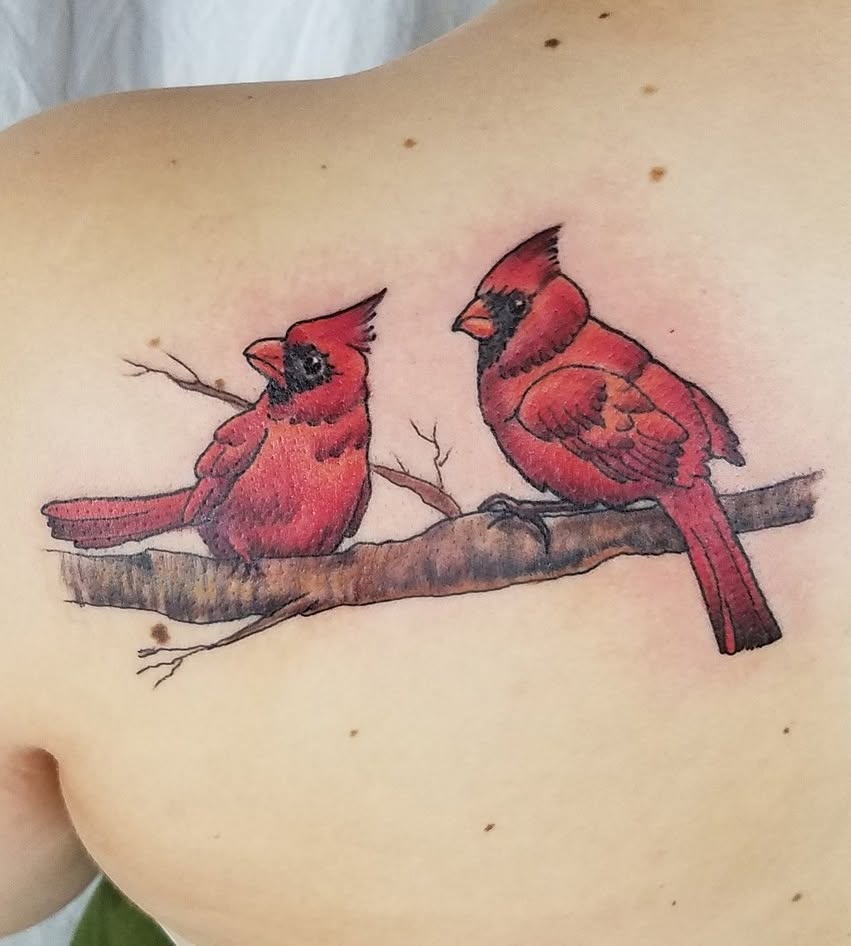 Cardinals realism tattoo on the chest by Oz Dillinger