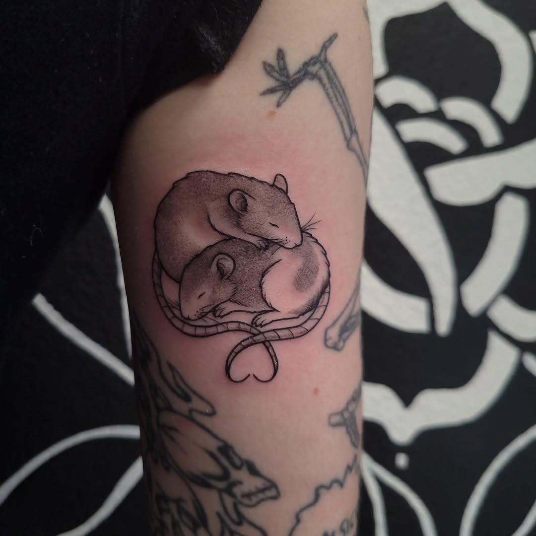 Two sleeping rats fine line tattoo on the forearm by Marina Cobb