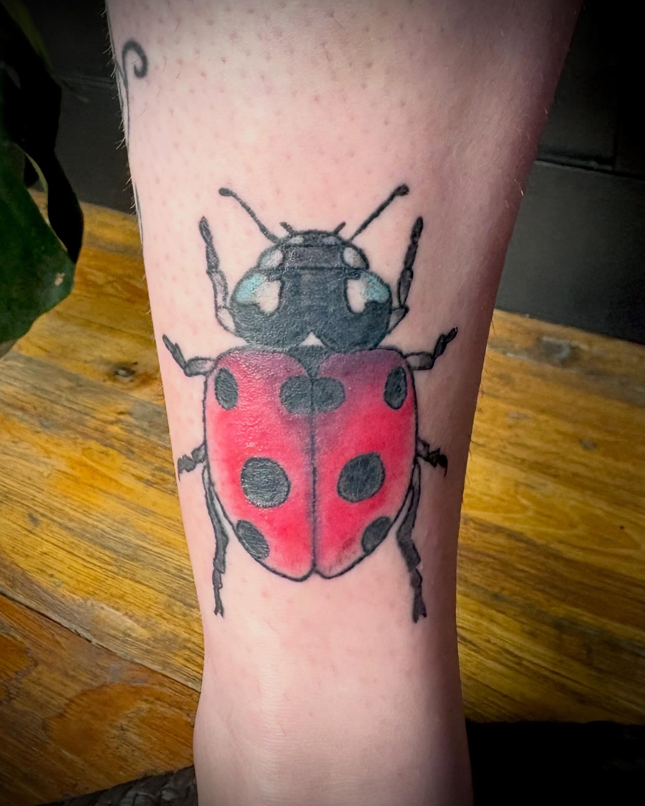 Ladybug realism tattoo on the forearm by Abby Ruok, Midvale, Utah
