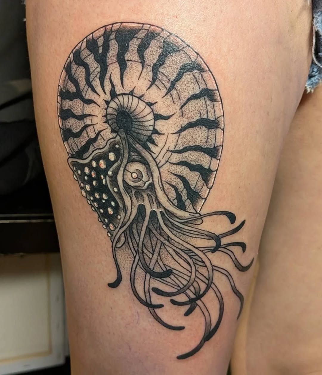 Nautilus shell with tentacles realism tattoo on the thigh by Damon 🥀