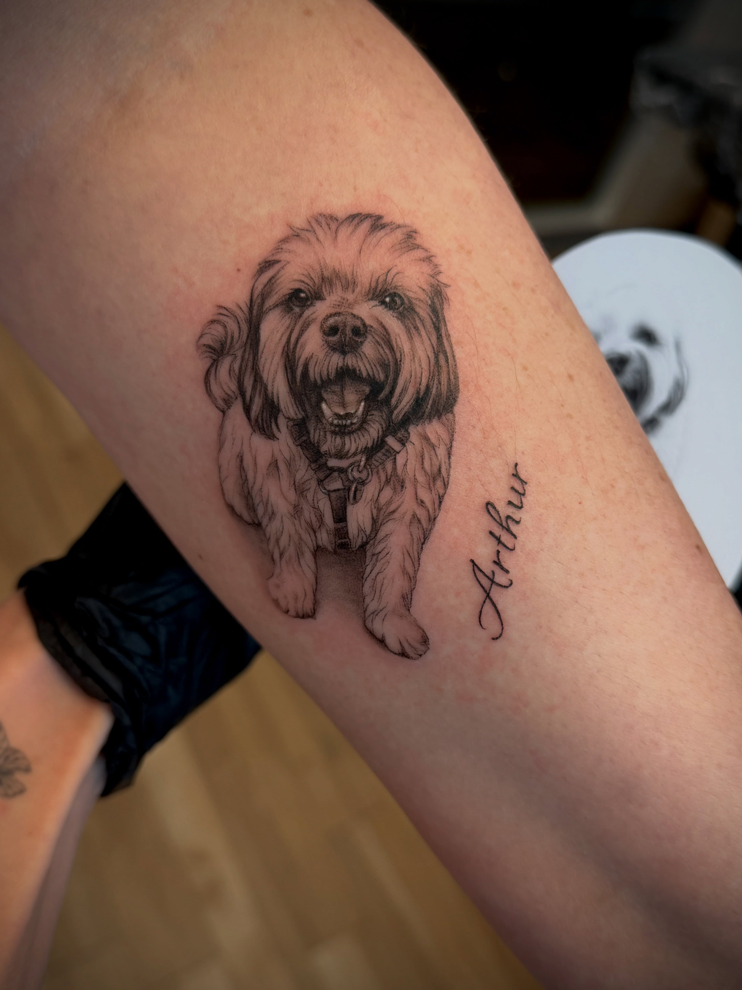 Dog realism tattoo on the forearm by Aristova Anastasia